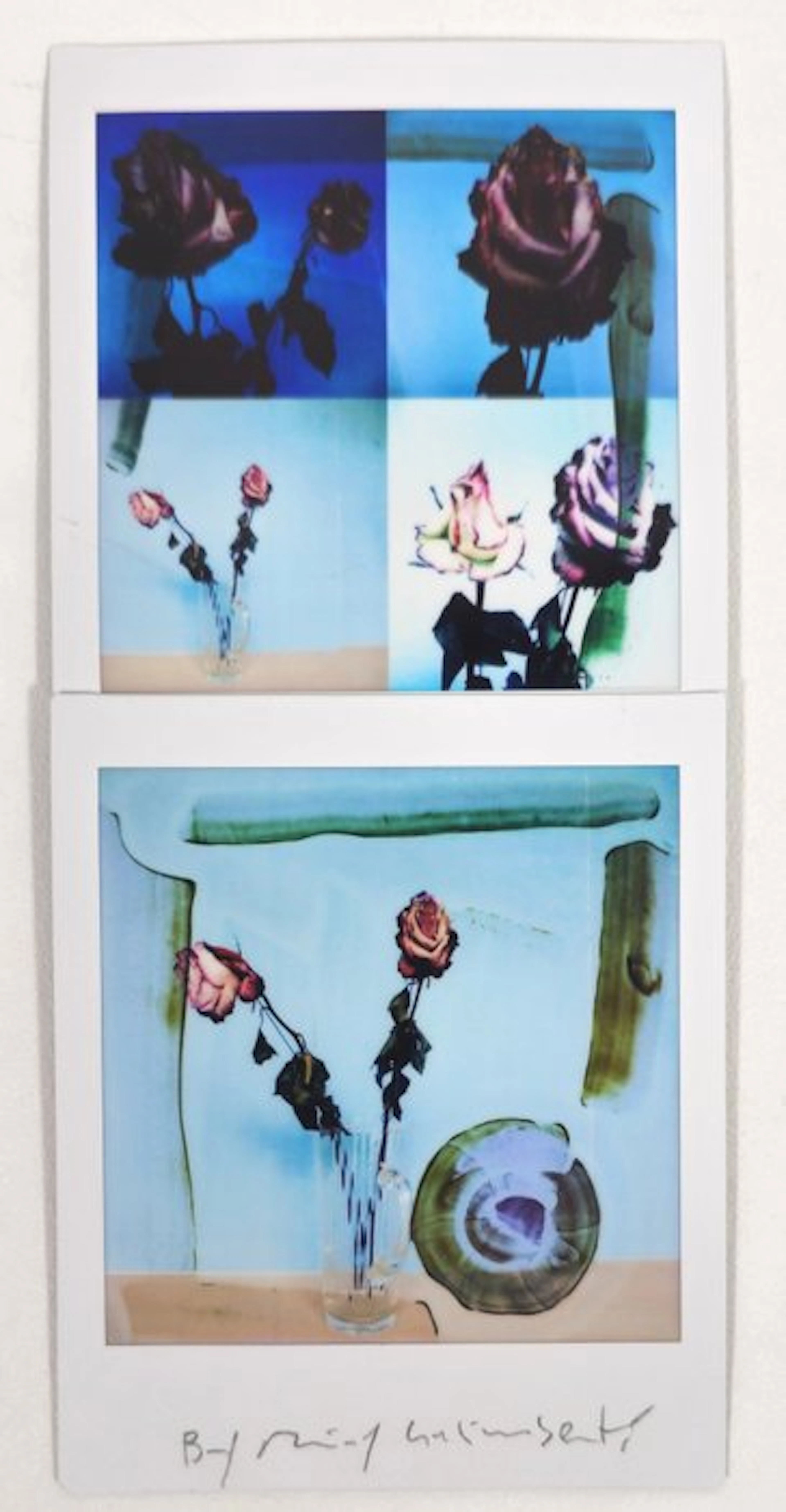Maurizio Galimberti (1956–) - BiFlowers - 11456