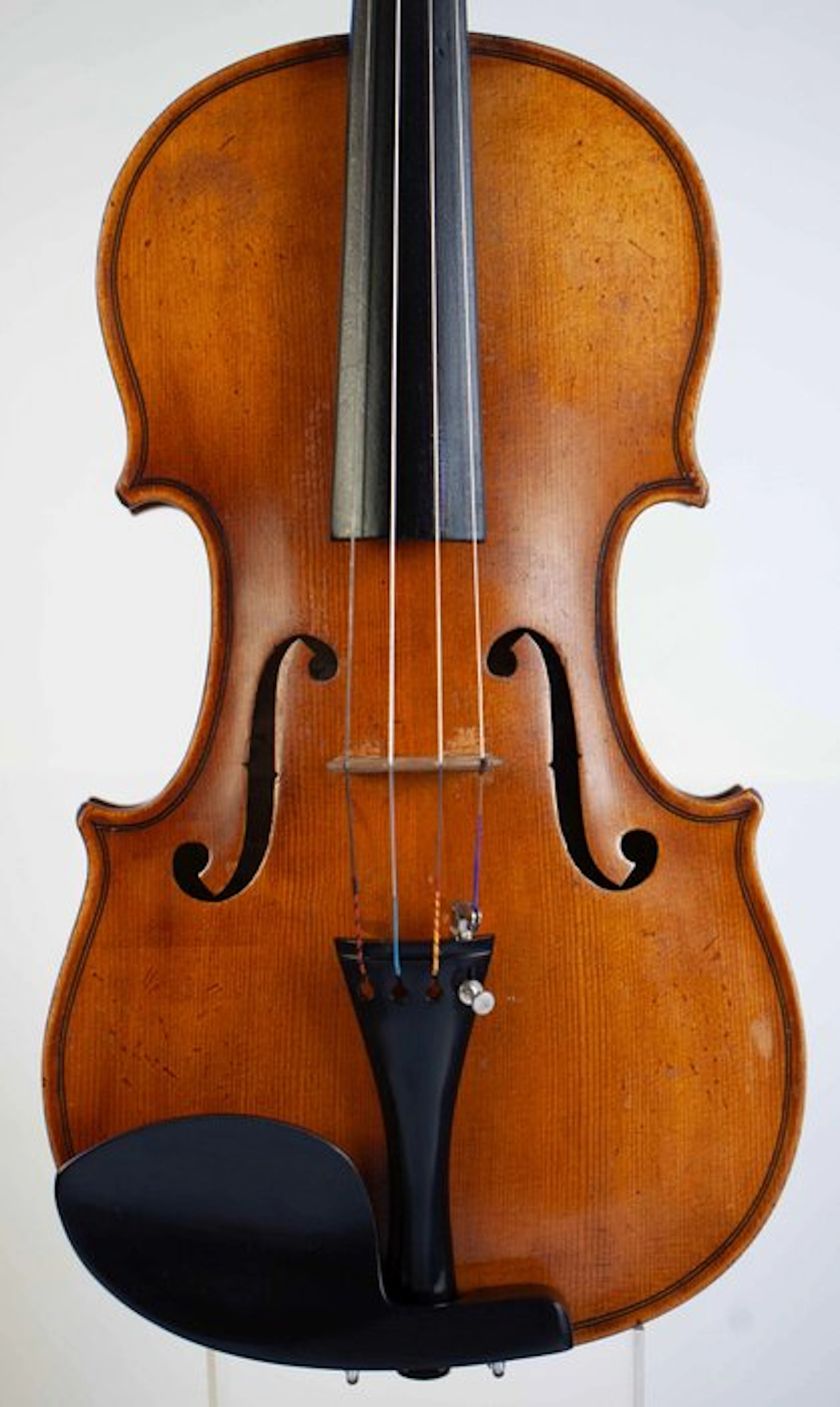 Labelled Giovanni Pistucci - 4/4 - - Violin - Unknown