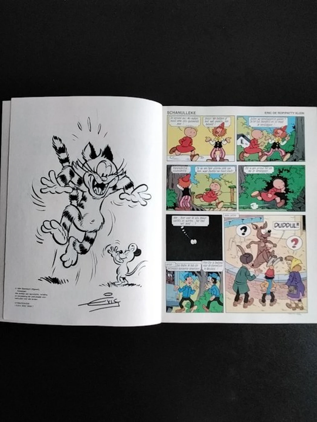 Suske en Wiske - Het leukste vakantie stripboek...