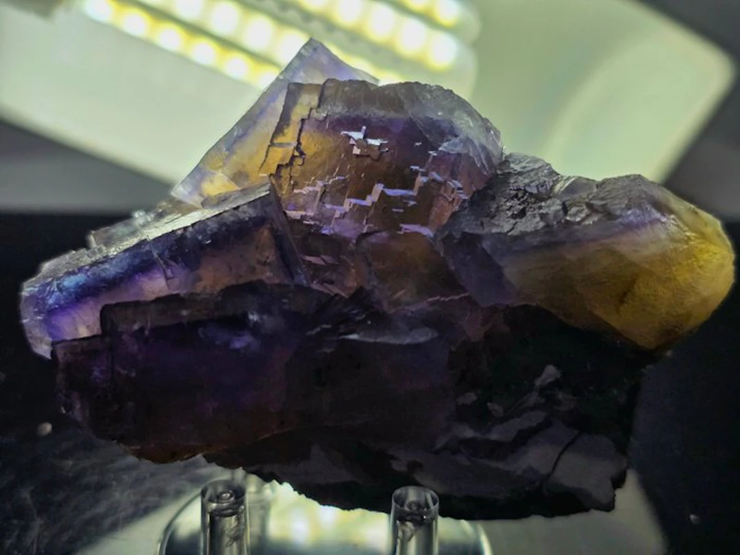 Fluorite Multizona