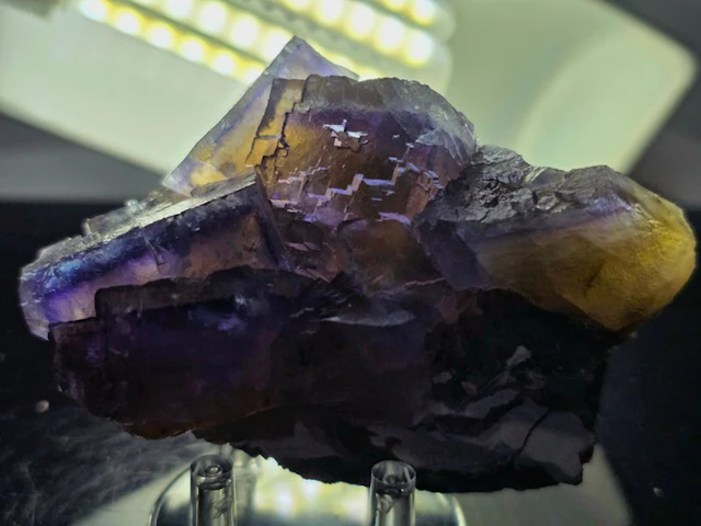 Fluorite Multizona