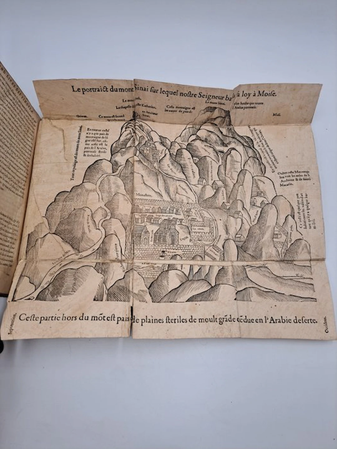 [Carte du mont Sinaï] - Pierre Belon - Les Observations...