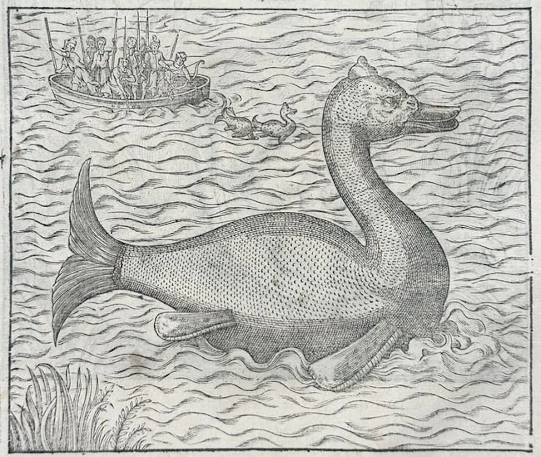 Ambroise Paré (1510–1590) - Sea Monsters and Monstrous Fish / Des Monstres