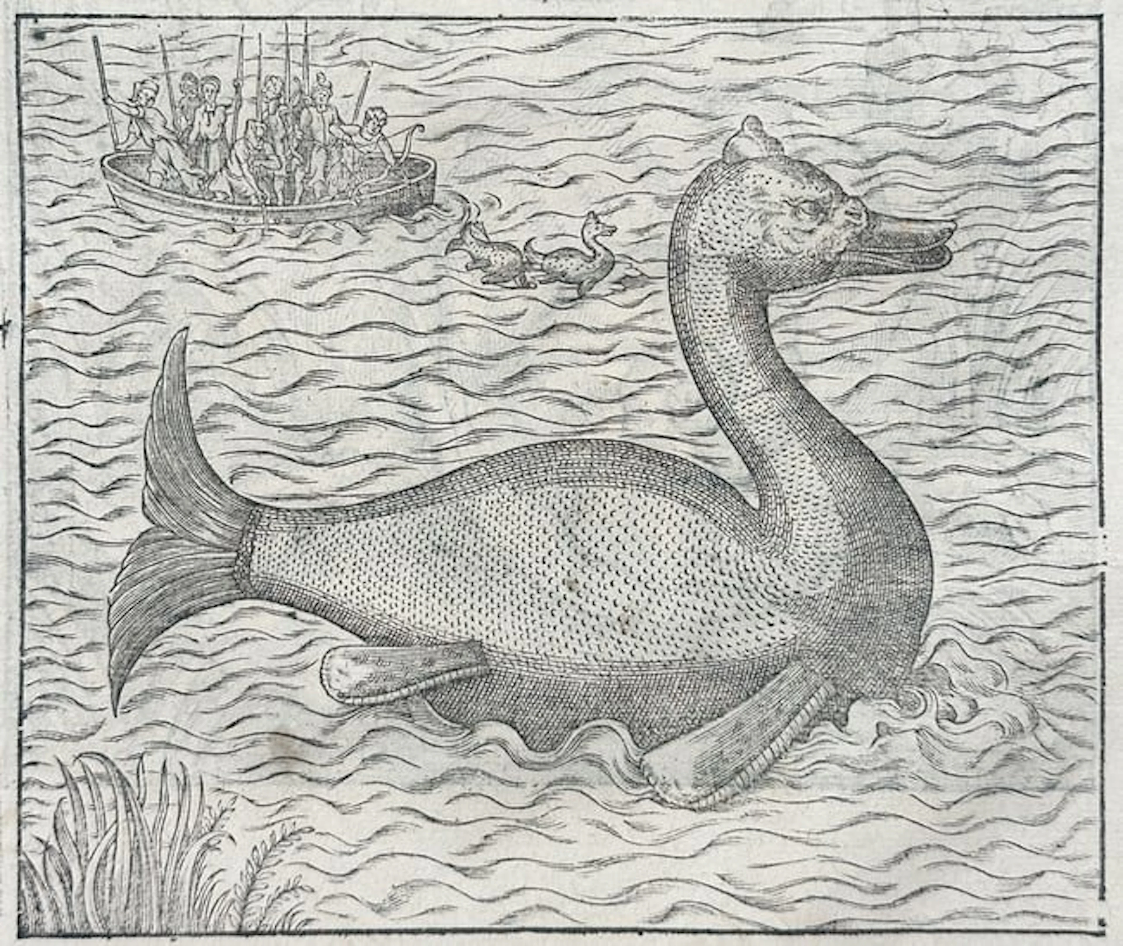 Ambroise Paré (1510–1590) - Sea Monsters and Monstrous Fish / Des Monstres