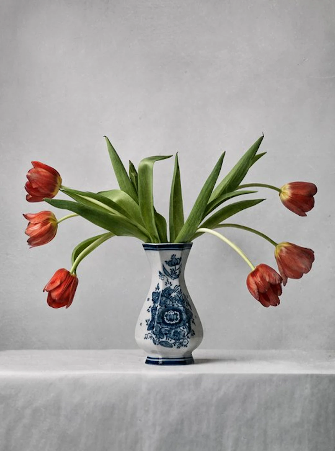 Tessa Posthuma de Boer - Tulips #02