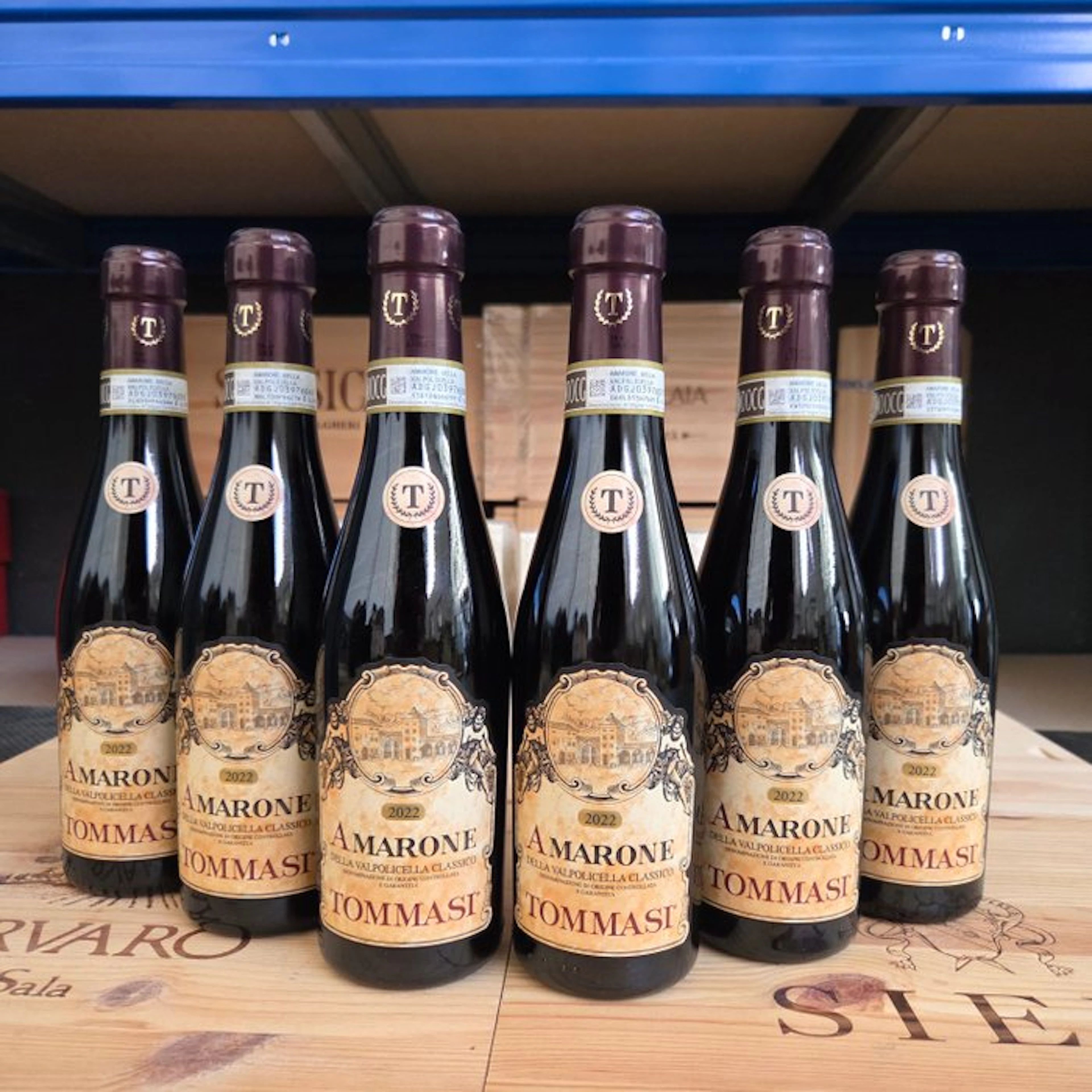 2022 Tommasi - Amarone della Valpolicella DOCG - 6 Half Bottles (0.375L)