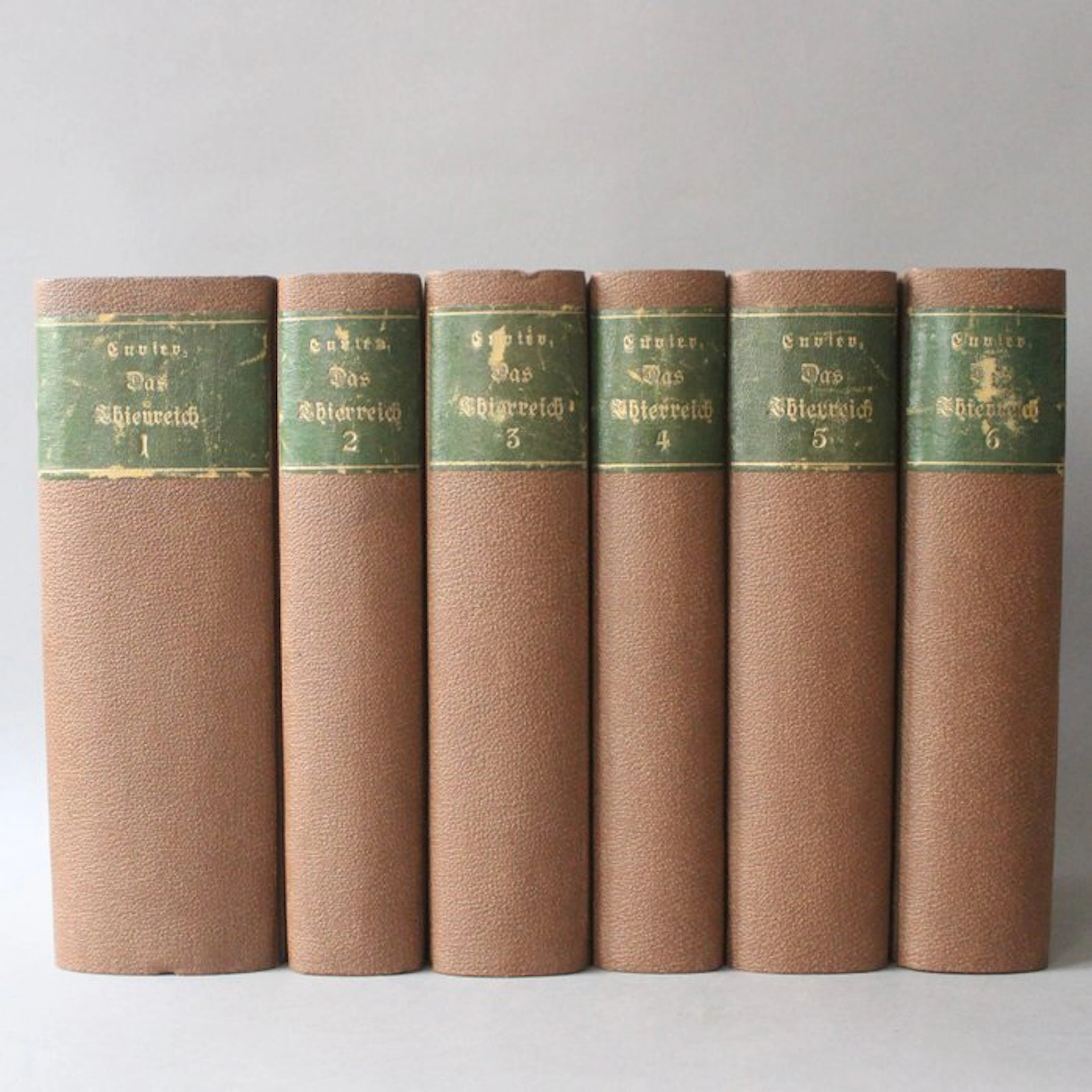 Georges Cuvier / Friedrich Siegmund Voigt [traducteur] - Das Thierreich