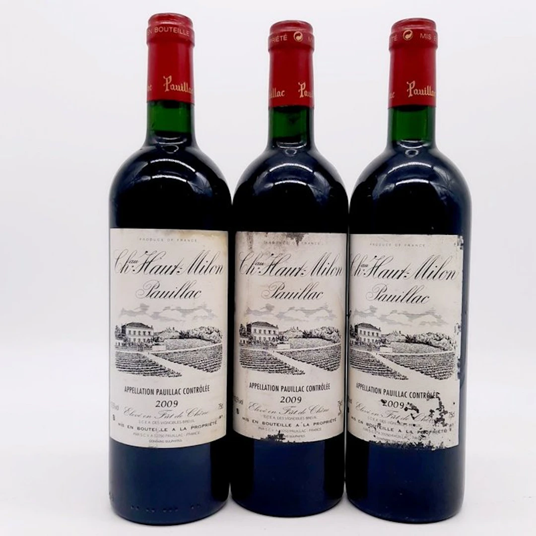 2009 Chateau Haut Milon - Pauillac - 3 Bottles (0.75L)