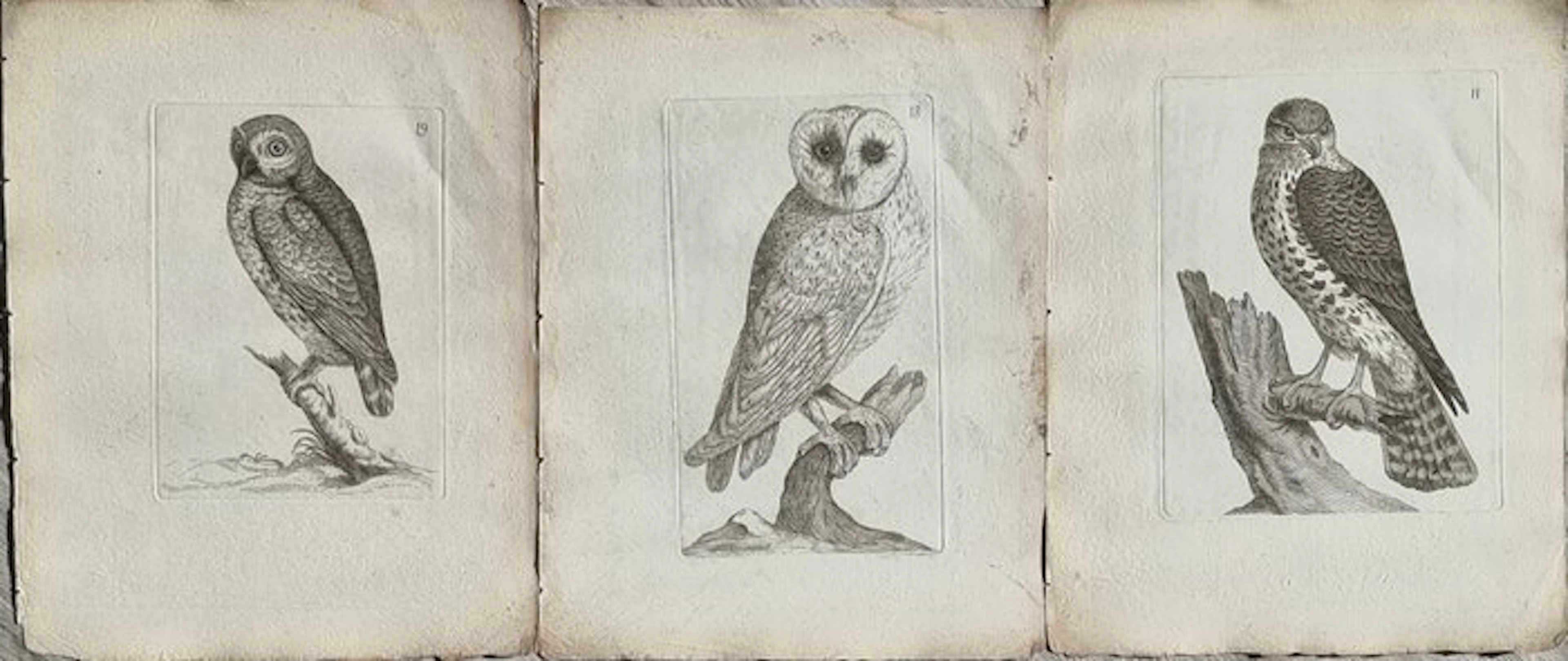 Johann Andreas Naumann (1744 – 1826) - Johann Andreas e...