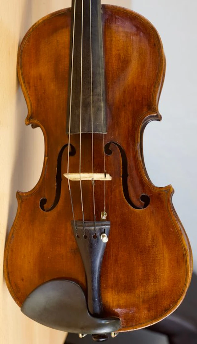 Lebeled Bernardus Calcanius - - Violin - Unknown
