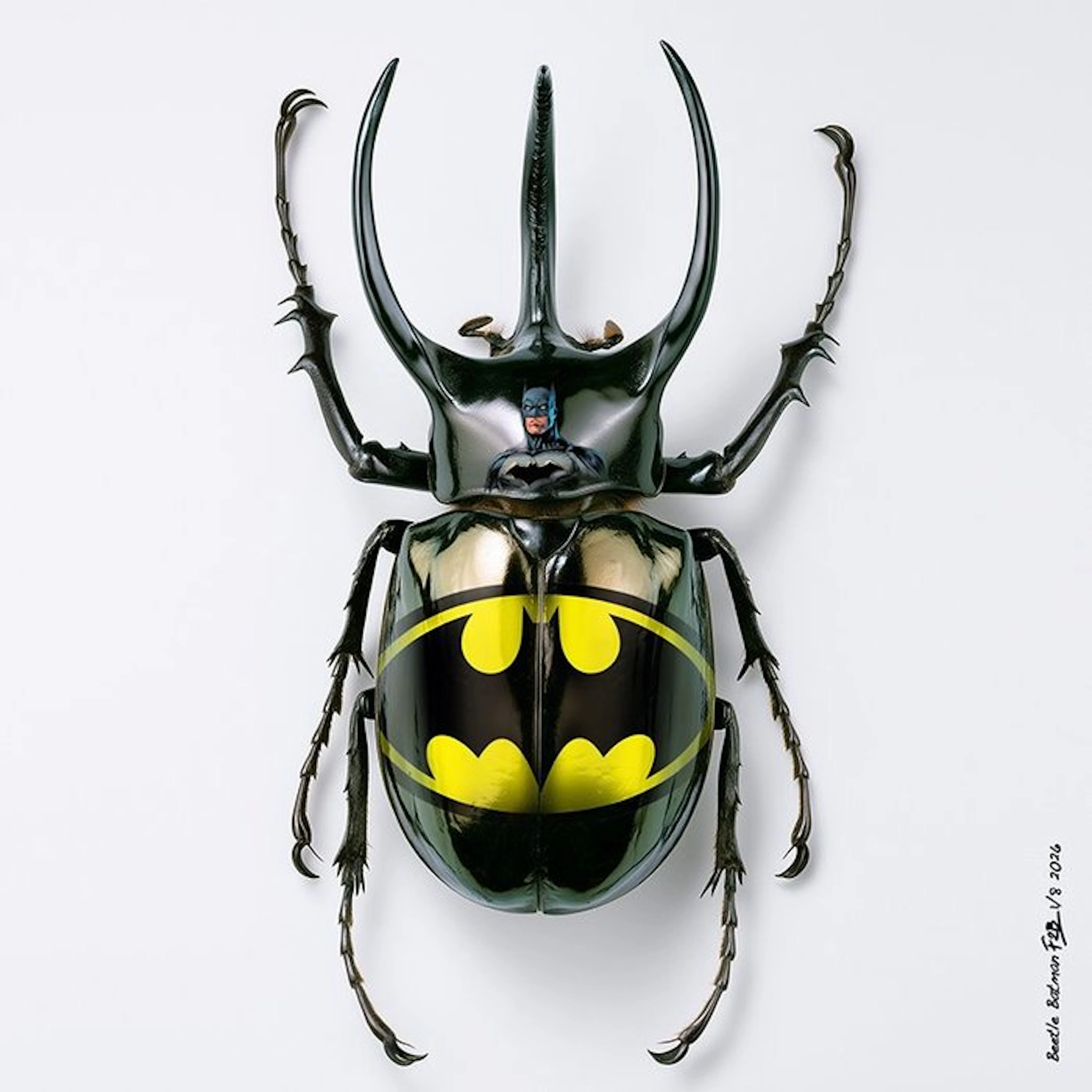 F2B - Beetle Batman 1I8