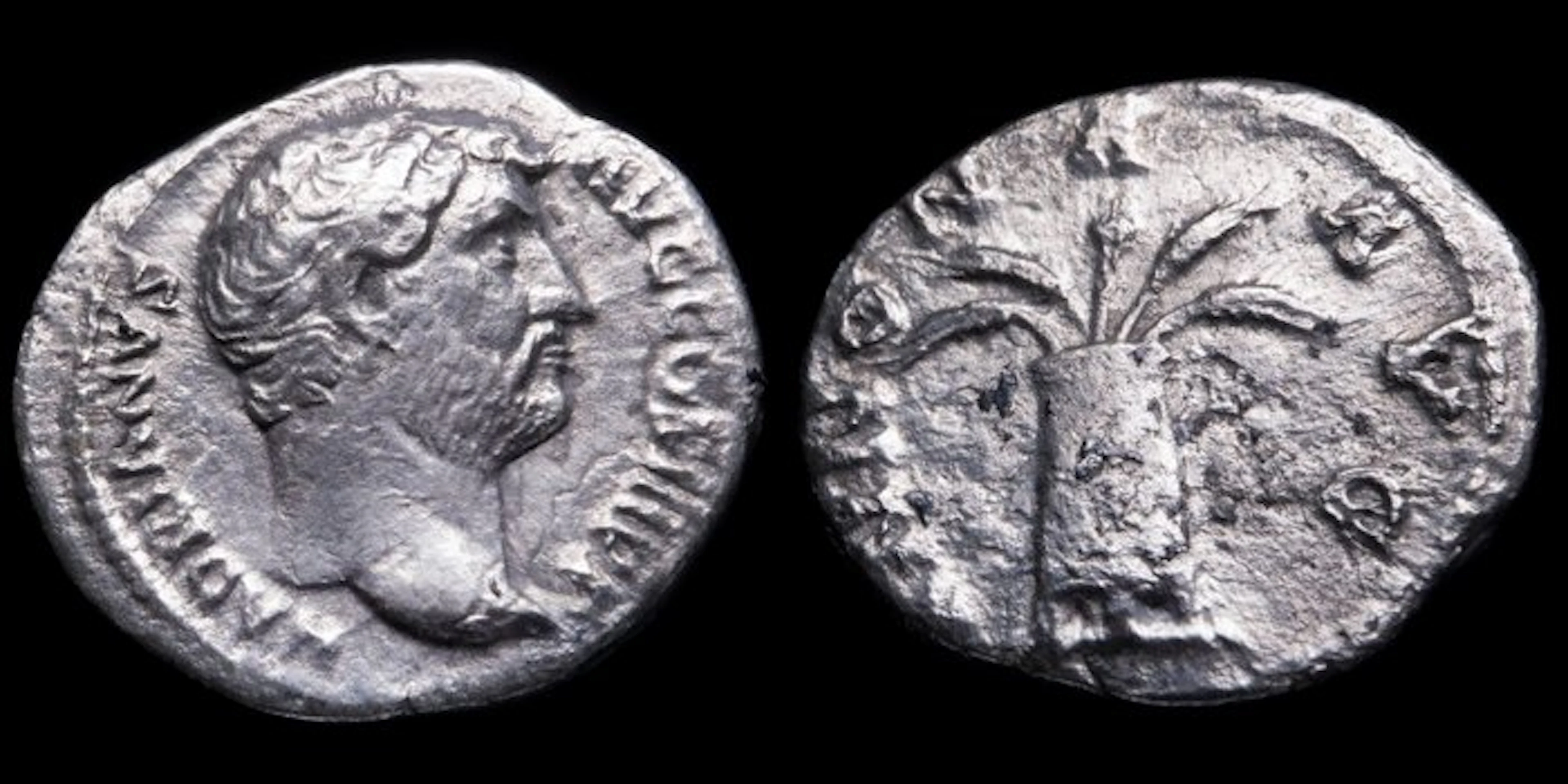 Roman Empire. Hadrian (AD 117-138). Denarius ANNONA AVG (No reserve price)
