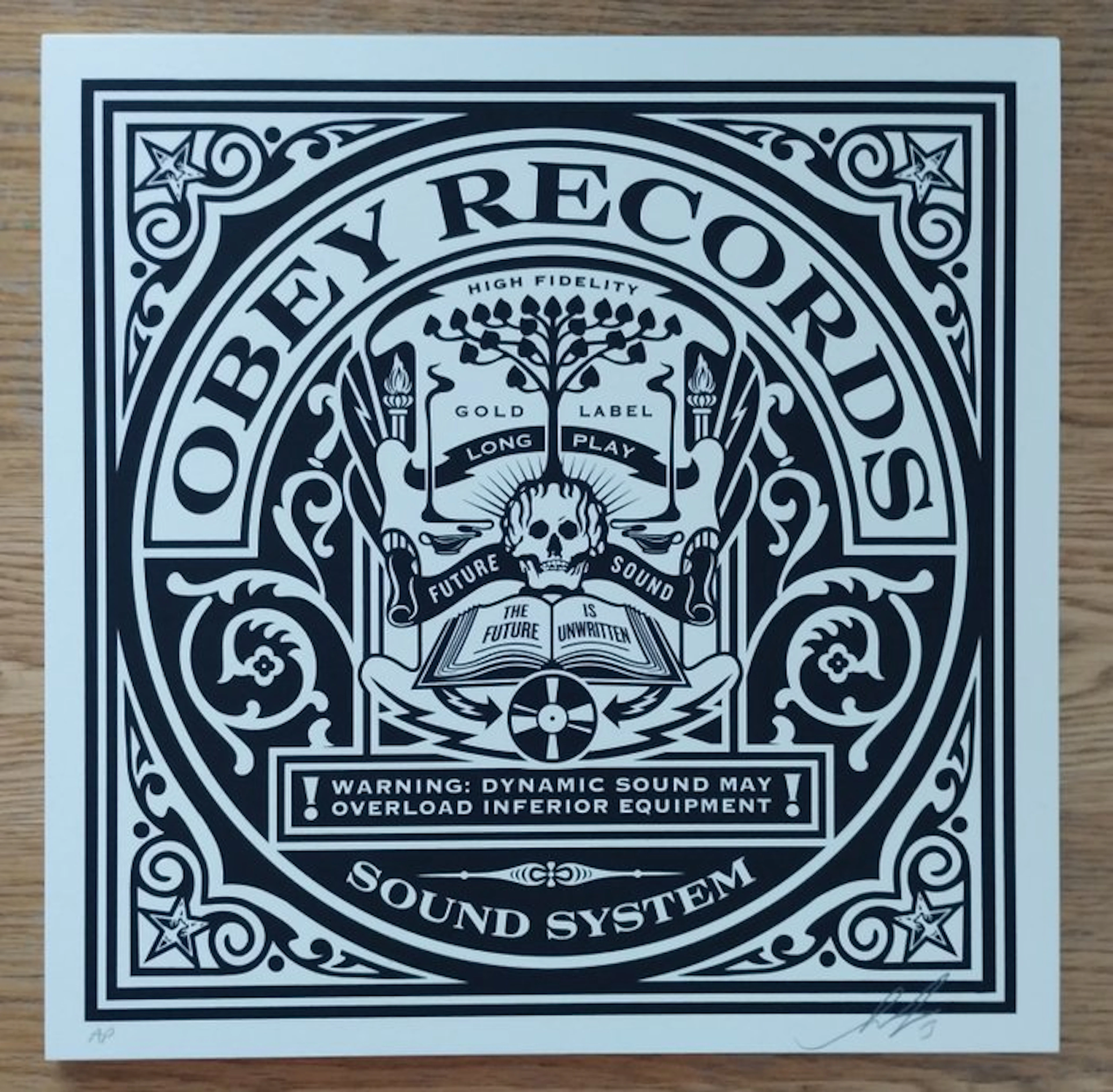 Shepard Fairey (OBEY) (1970) - The Future is Unwritten (artist proof)
