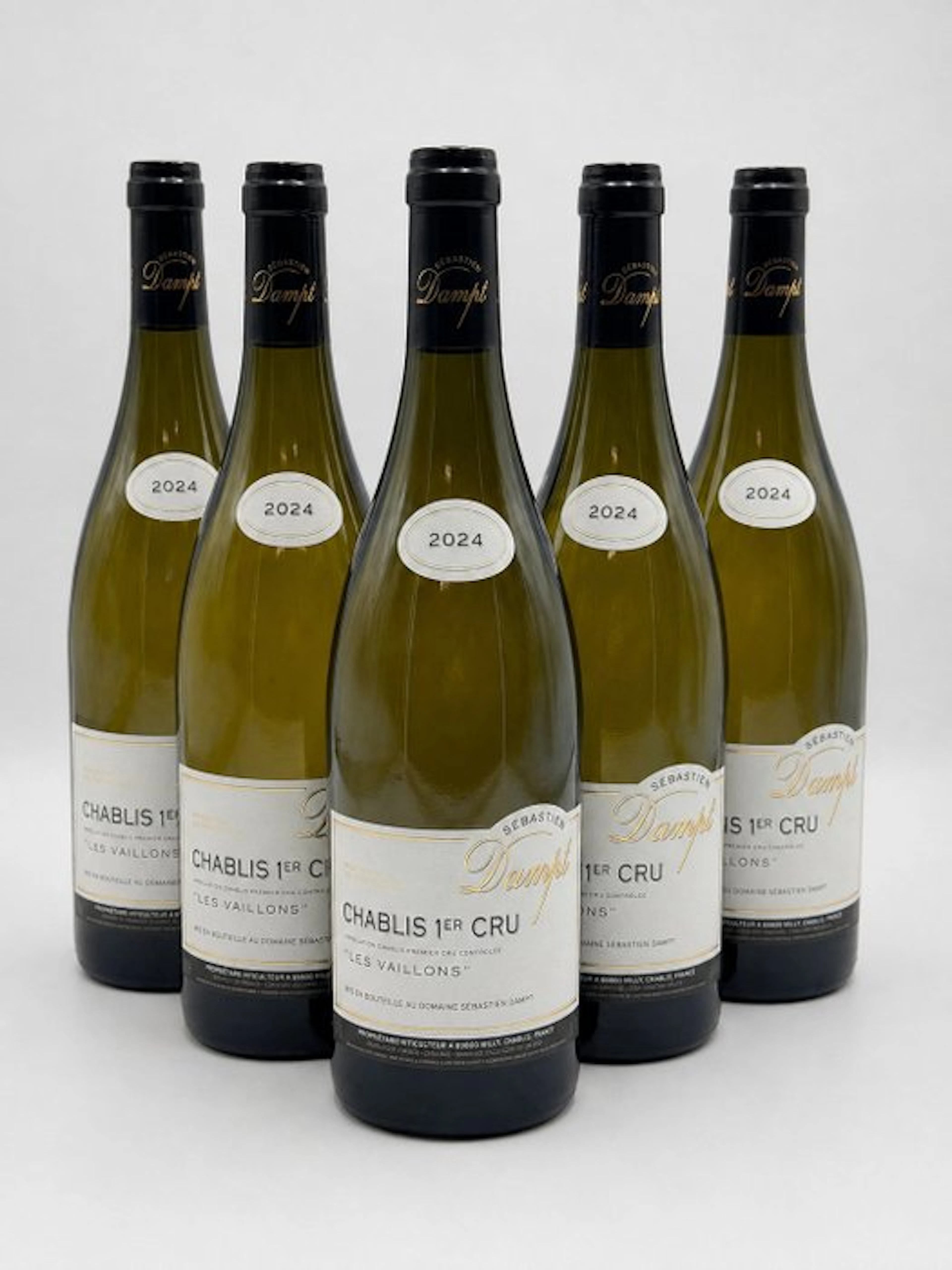 2024 Sébastien Dampt "Les Vaillons" - Chablis 1er Cru - 6 Bottles (0.75L)