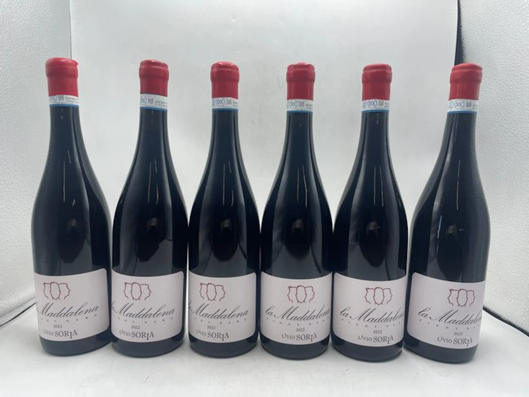 2022 Livio Soria La Maddalena Pinot Nero - Piedmont - 6 Bottles (0.75L)