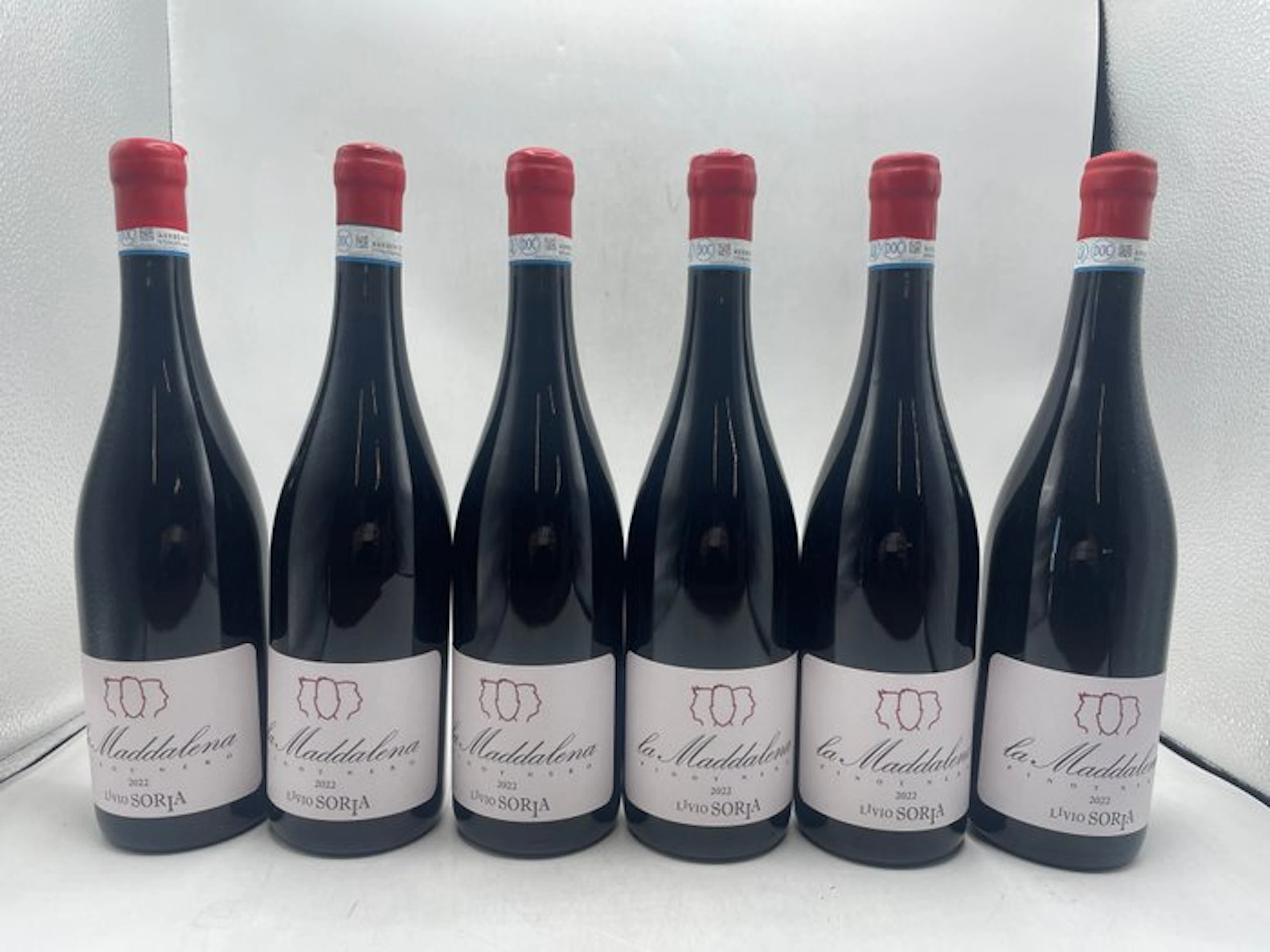 2022 Livio Soria La Maddalena Pinot Nero - Piedmont - 6 Bottles (0.75L)