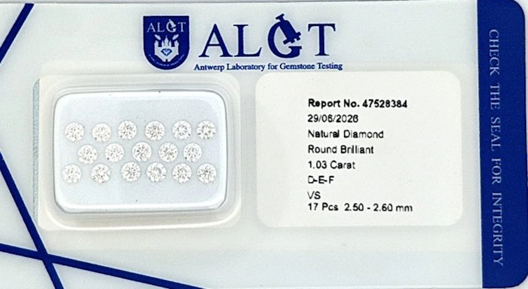 17 pcs Diamond (Natural) - 1.03 ct - Round - F