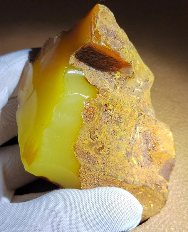 Baltic Amber- High Quality AAA - Museum- 112.25 g