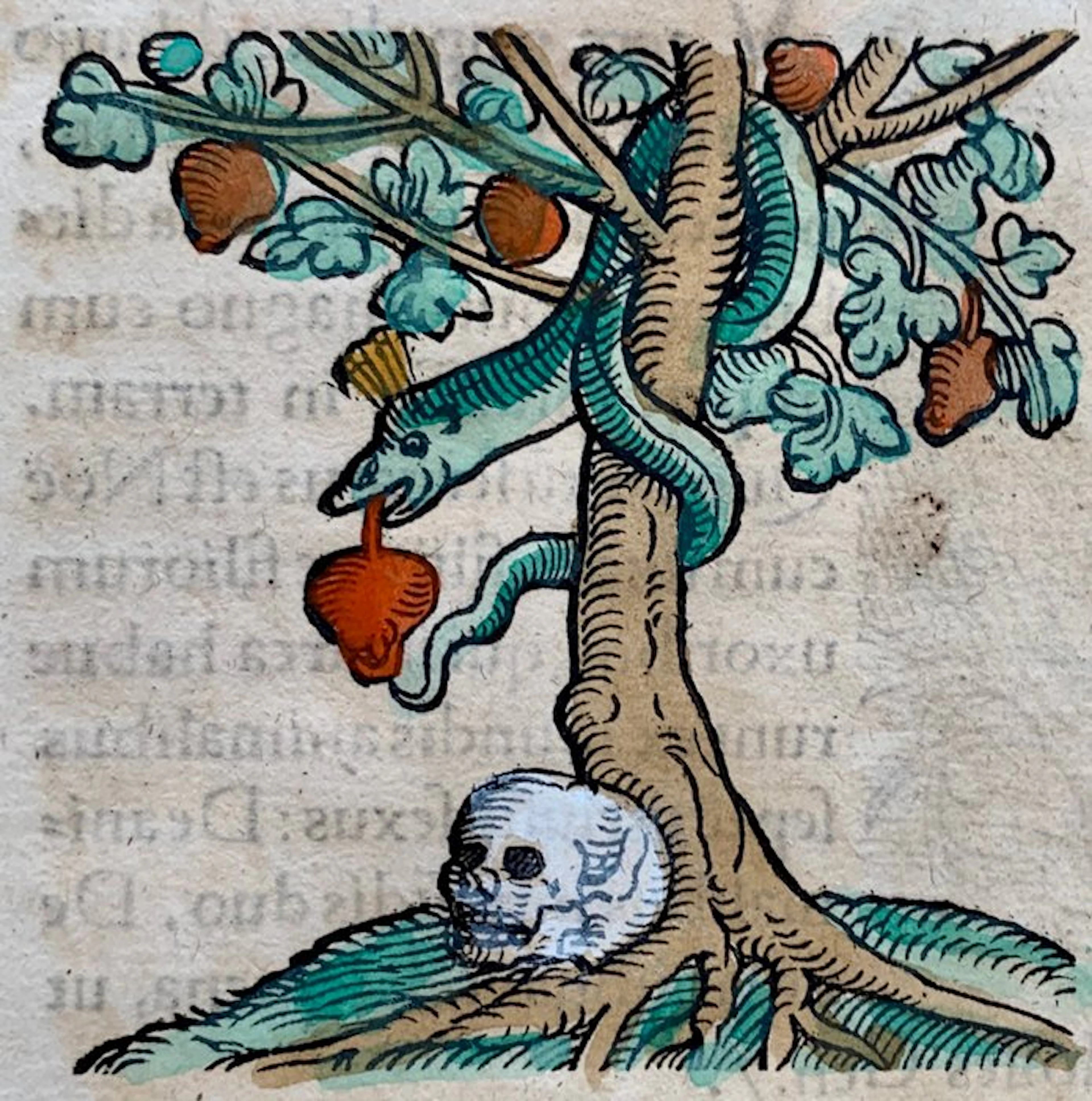 Conrad Lycosthenes - Prodigiorum ac Ostentorum Chronicon - 1557