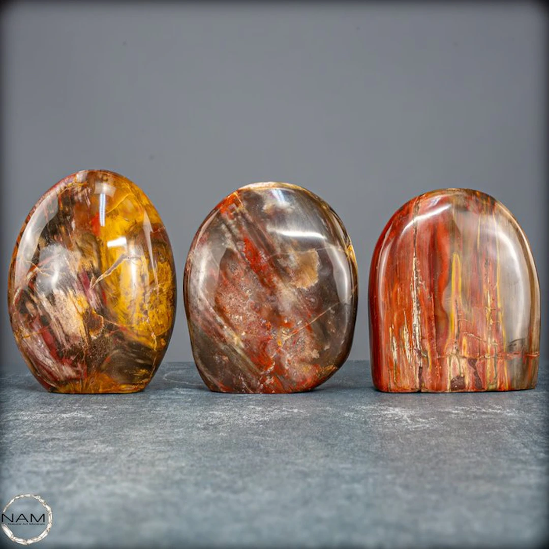 Natural petrified wood set from Madagascar – Millions of...