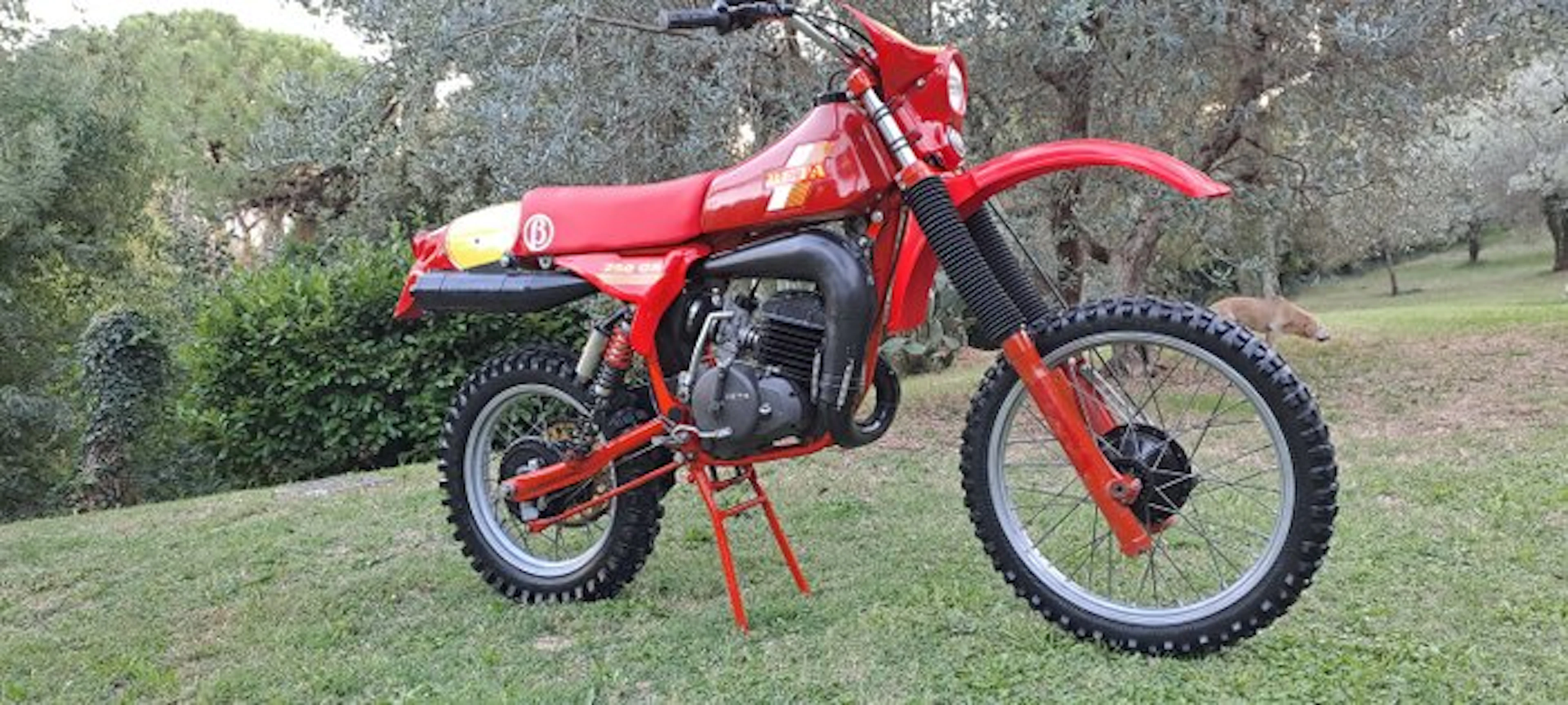 Beta - GS - 250 cc - 1982