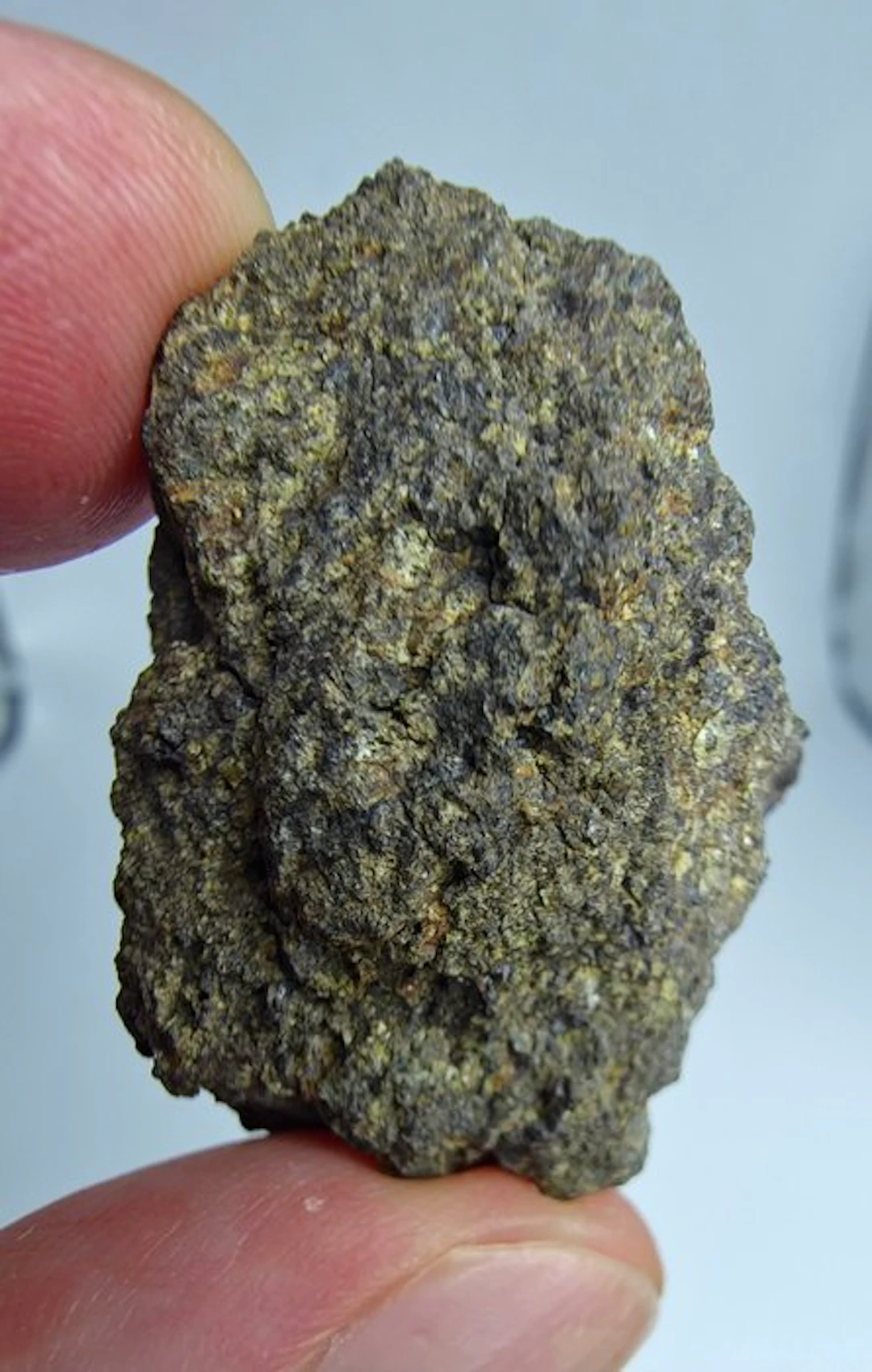 Ureilite meteorite, NWA 18492. Do not reserve price. - 20.23 g - (1)
