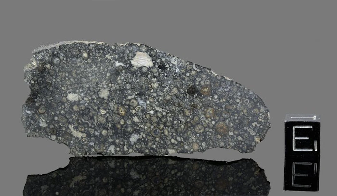 Allende meteorite Slice - 19.2 g - (1)