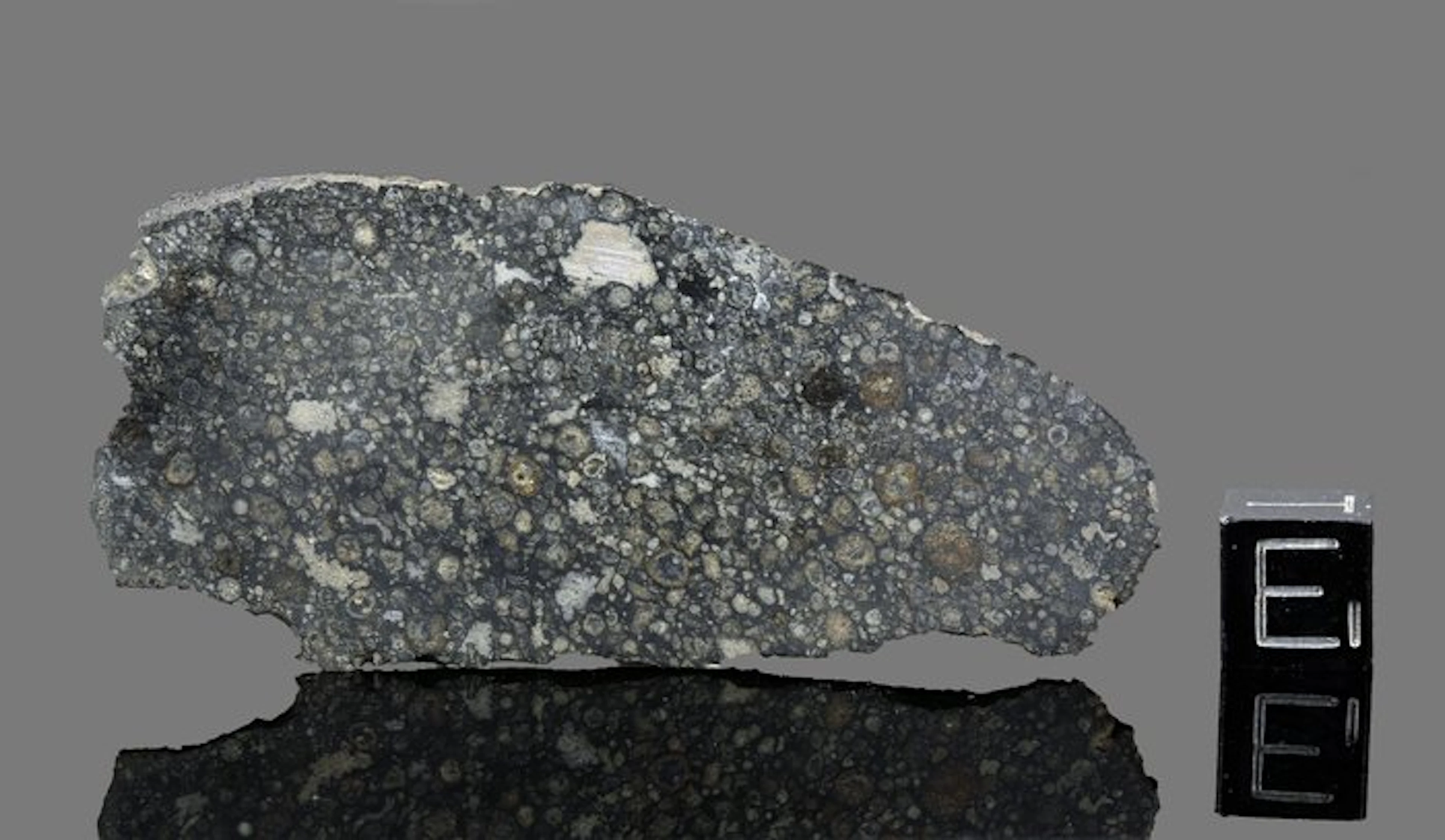 Allende meteorite Slice - 19.2 g - (1)