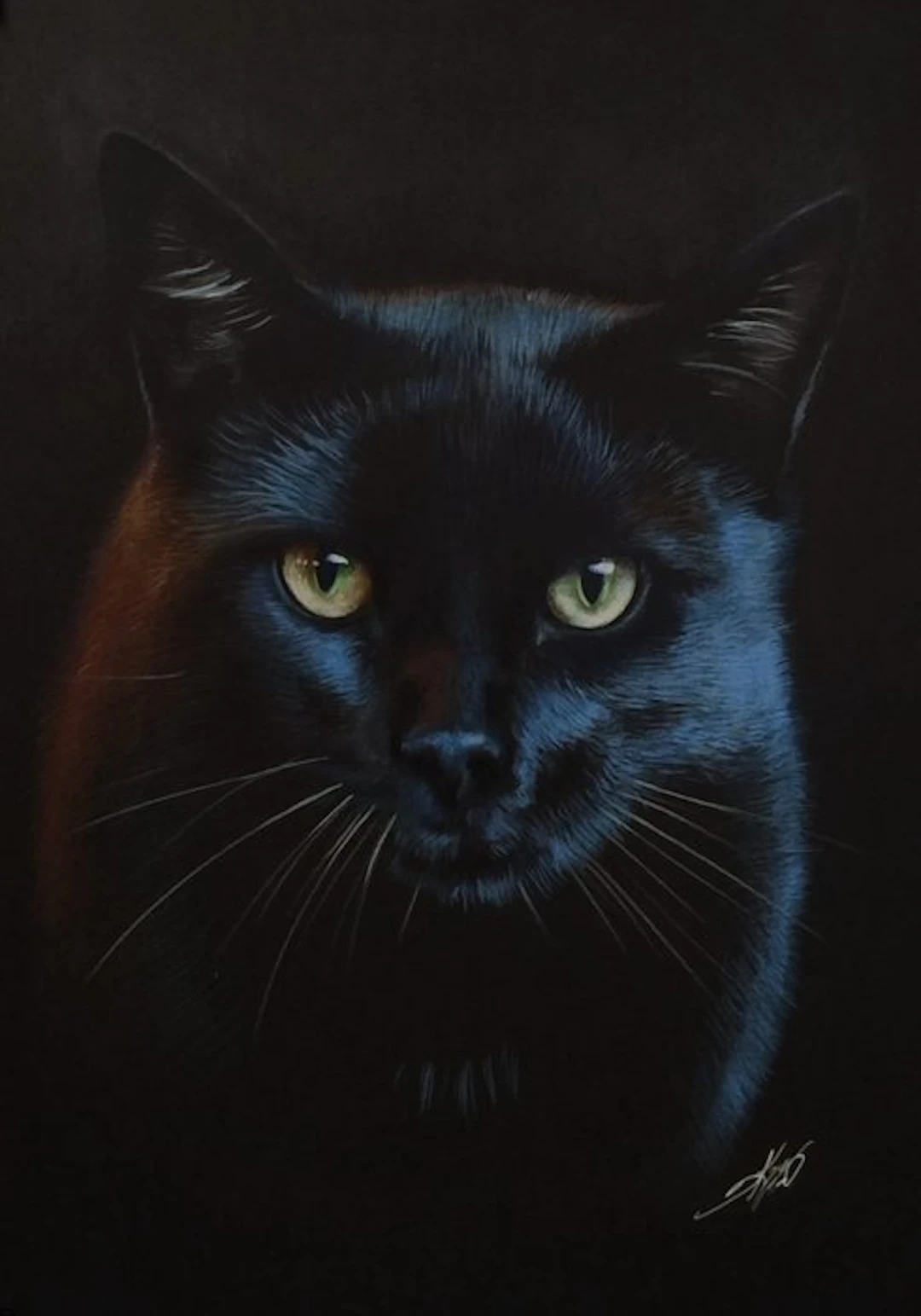Yevhen Karpenko - Black cat