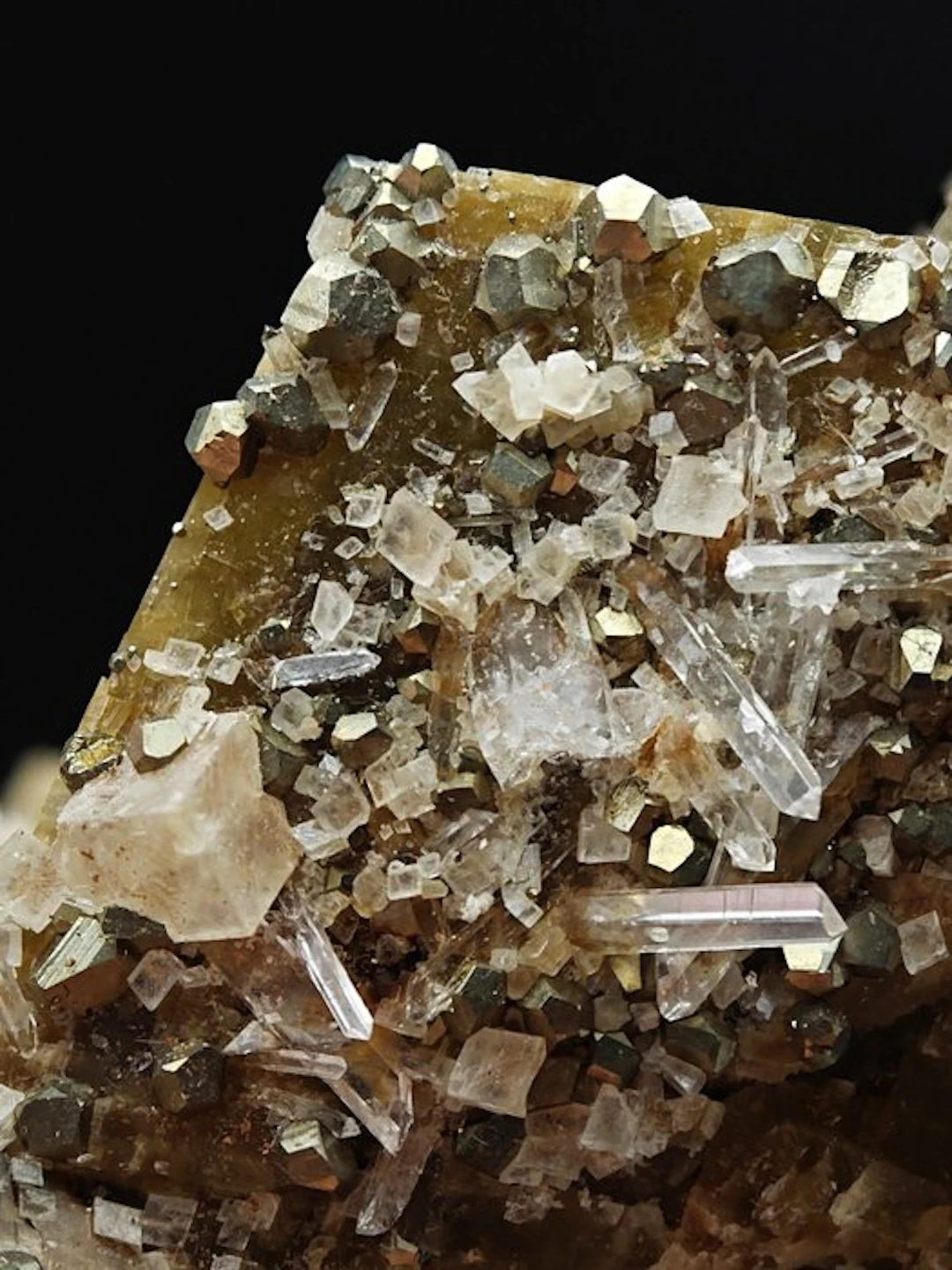 Gilded Pyrite Aesthetic with Quartz and Dolomite on Brown...