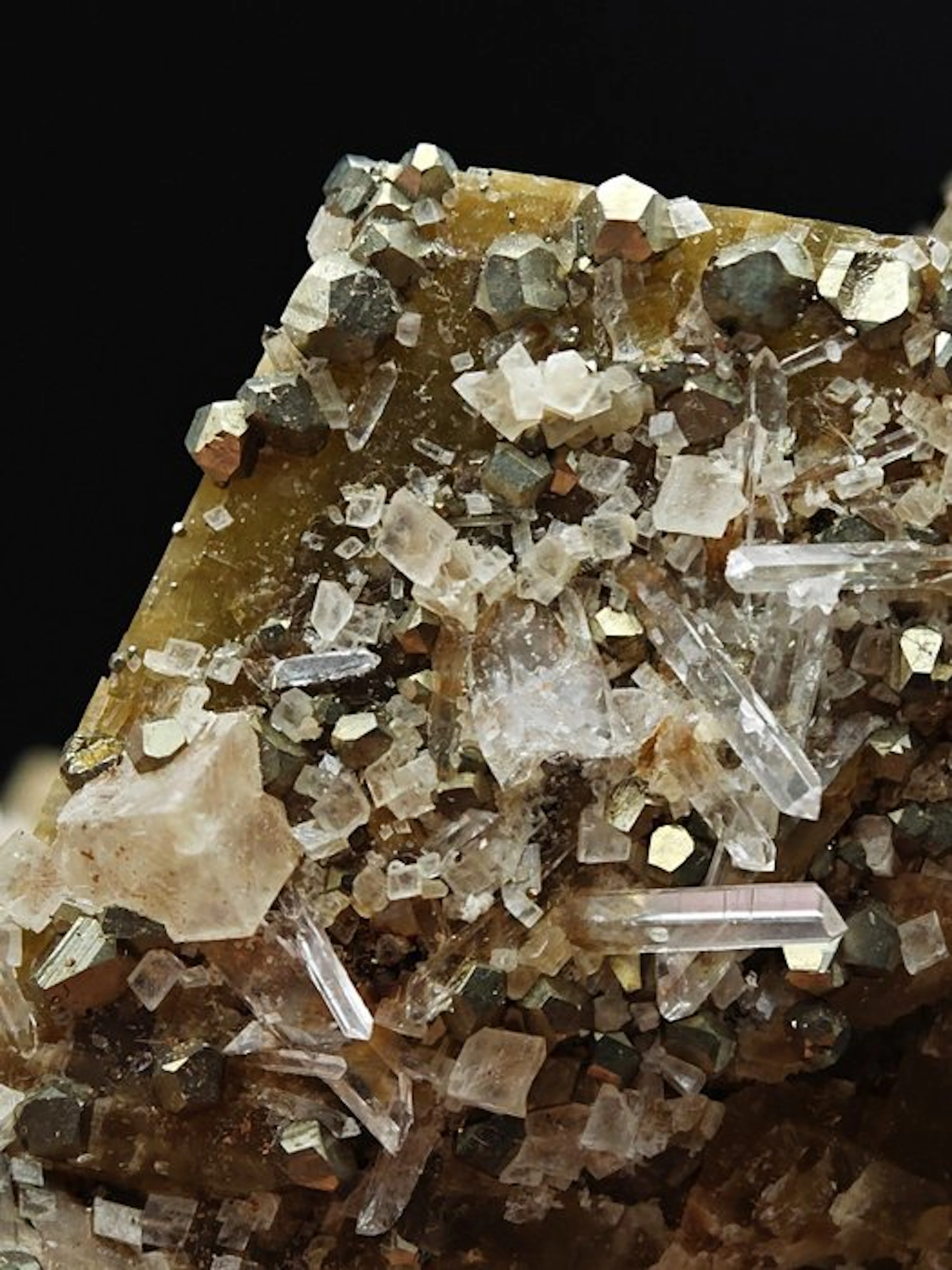 Gilded Pyrite Aesthetic with Quartz and Dolomite on Brown...