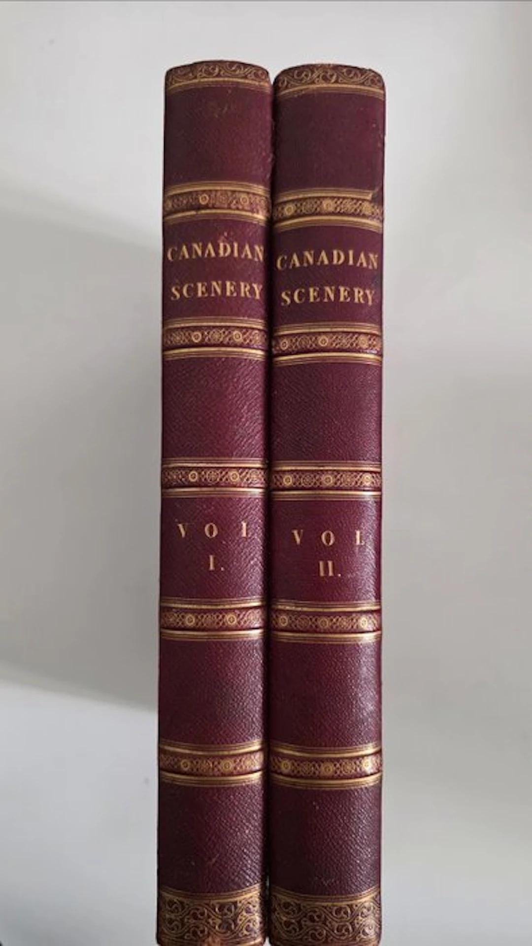 Nathaniel Parker Willis - Canadian Scenery Illustrated - 1842