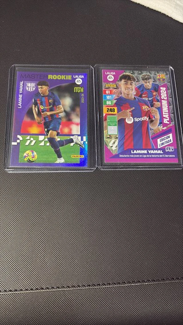 Panini - 2 Card - Adrenalyn XL 423 Parallel card