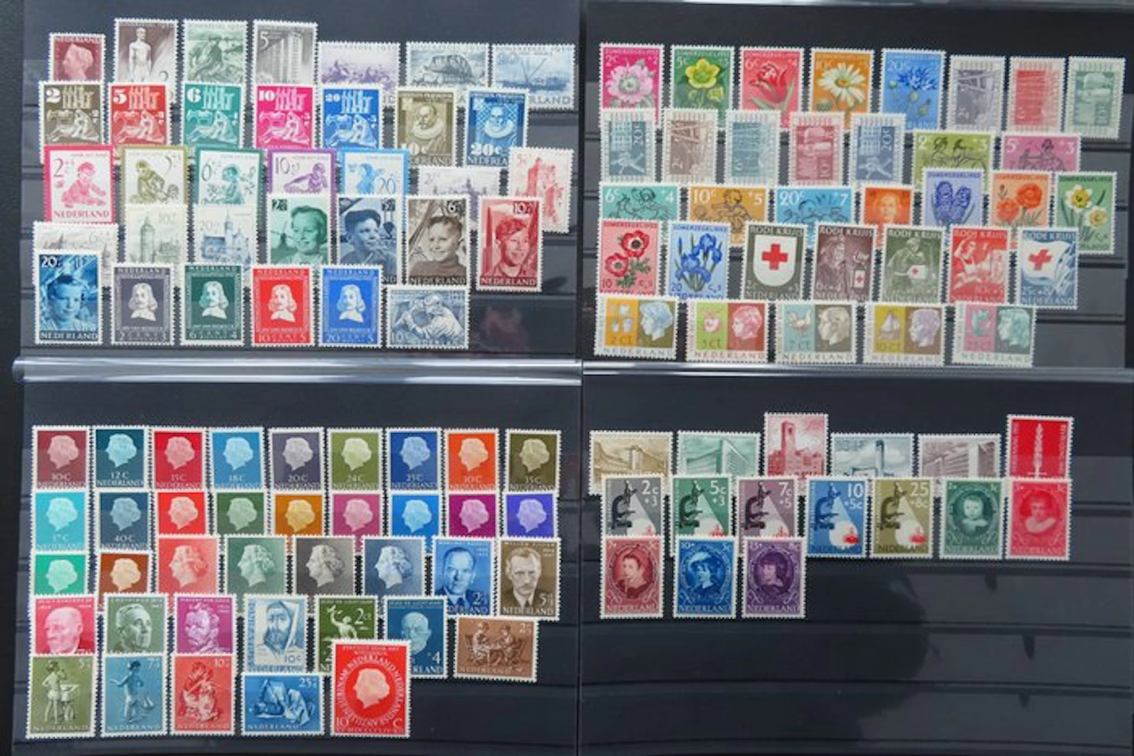 Netherlands - 1950–1955 complete mint (never hinged) - NVPH 549-670