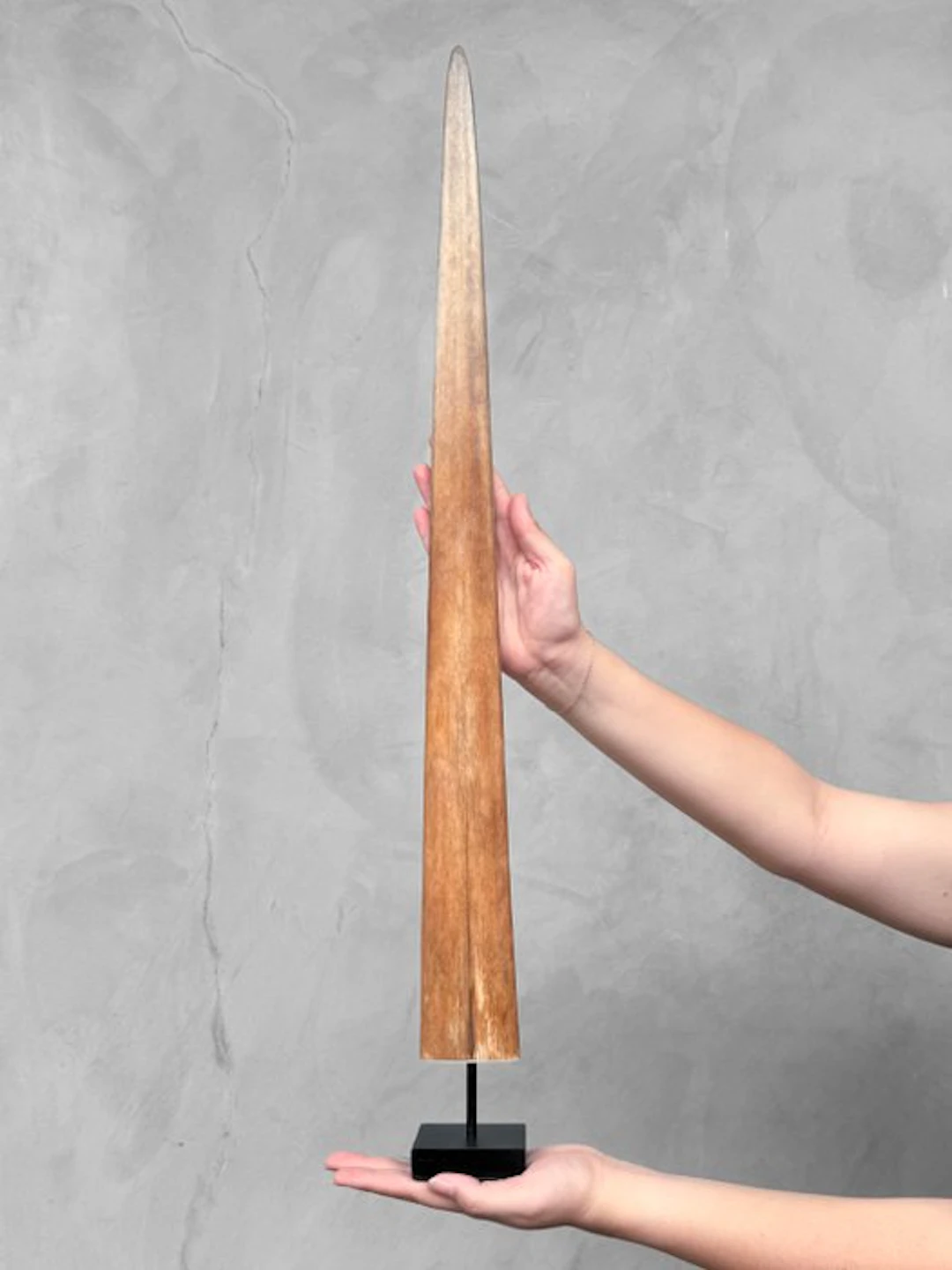 NO RESERVE PRICE - A Swordfish Tusk mounted on a...