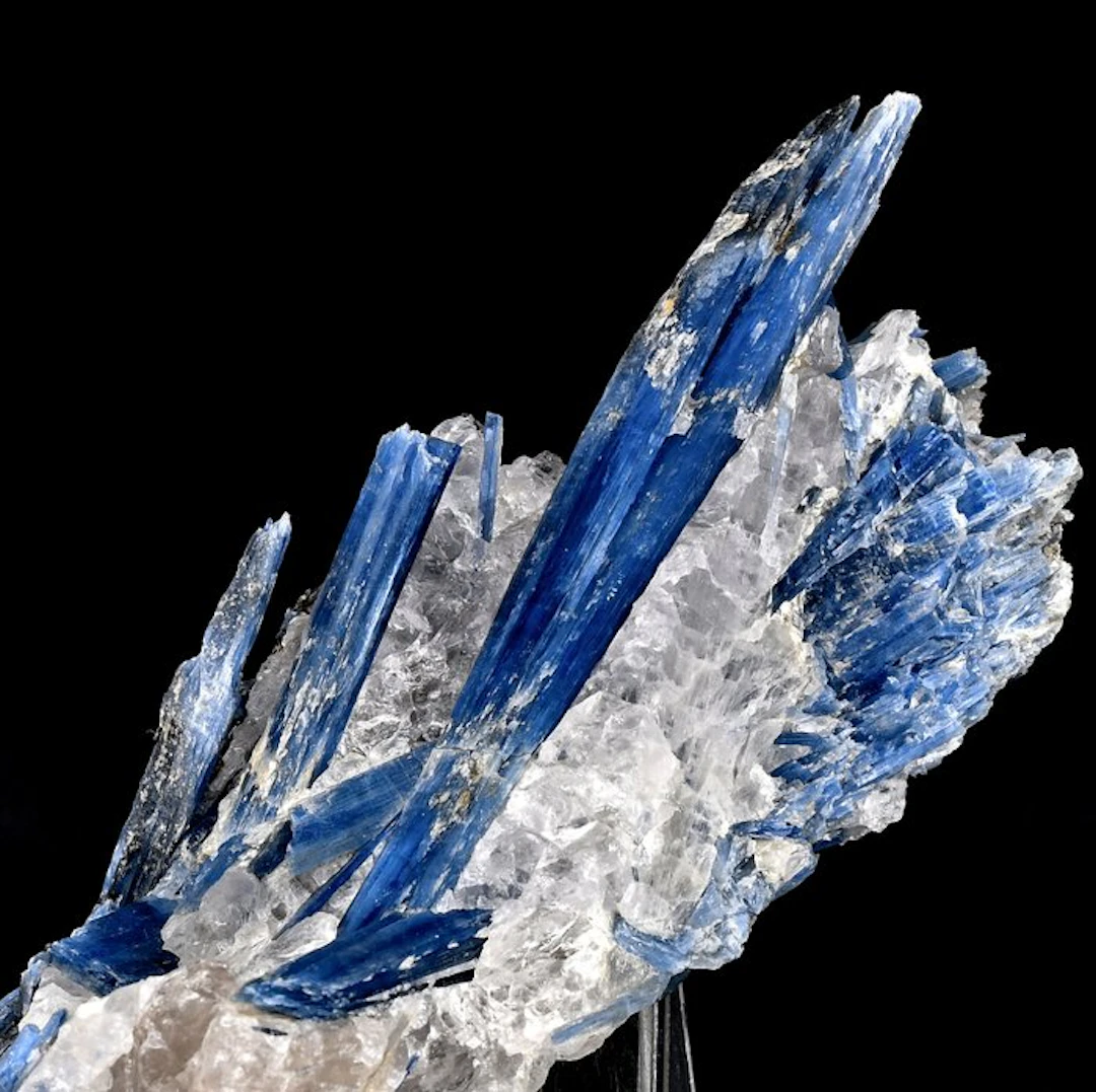 IMPORTANT MUSEUM deep blue Kyanite crystals cluster...