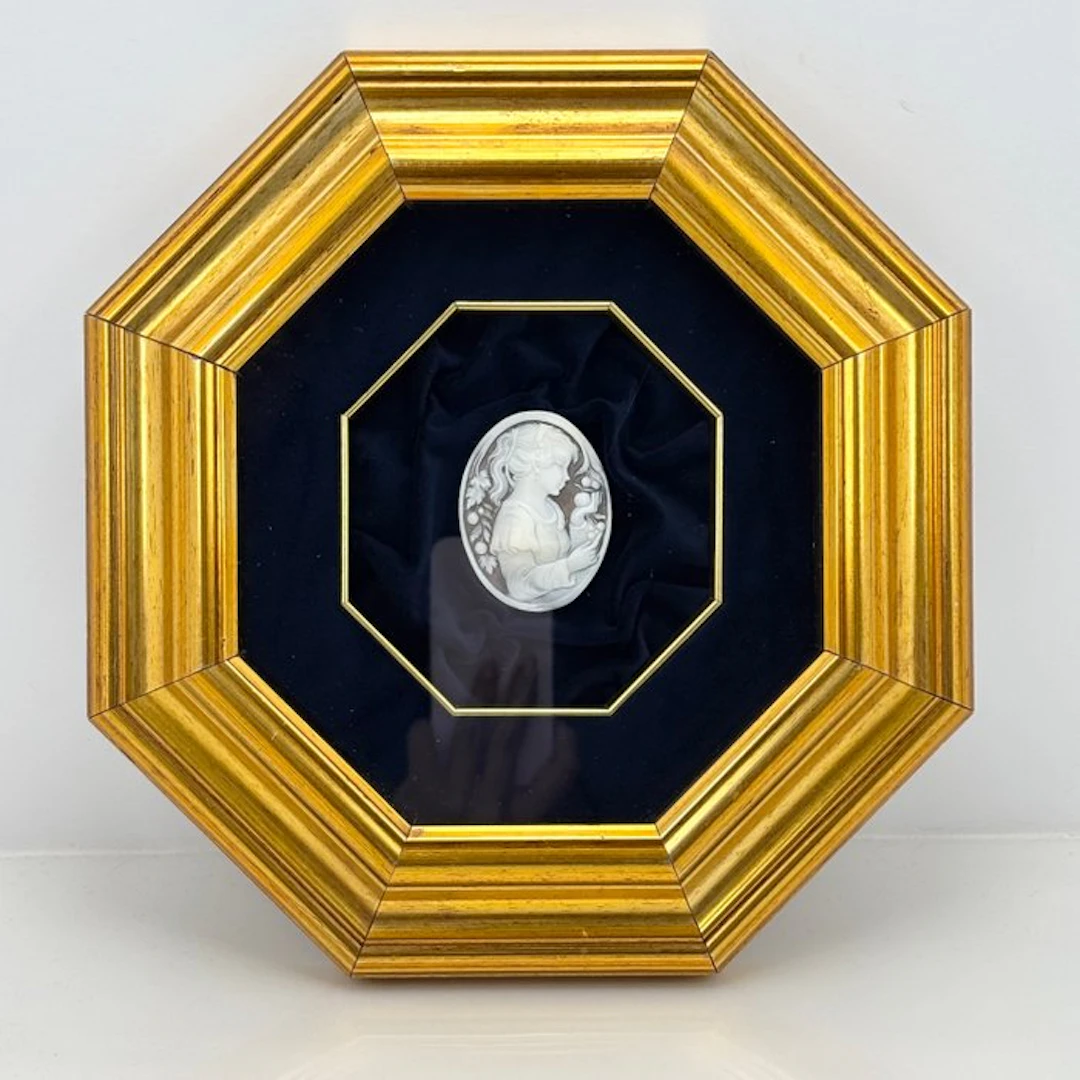 Cassis madagascariensis - Cameo - Hand-engraved cameo