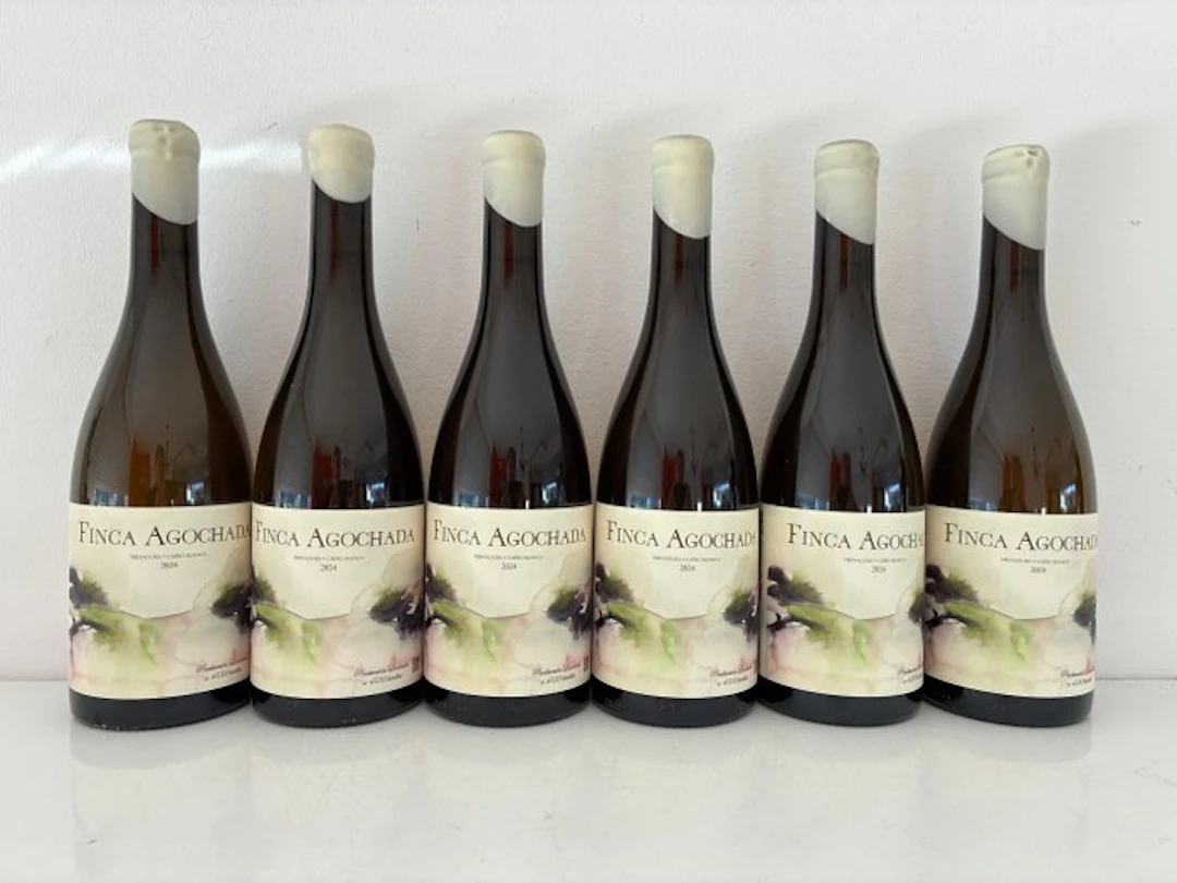 2024 Laudes 'Finca Agochada' Treixadura y Caino Blanco - Ribeiro D.O