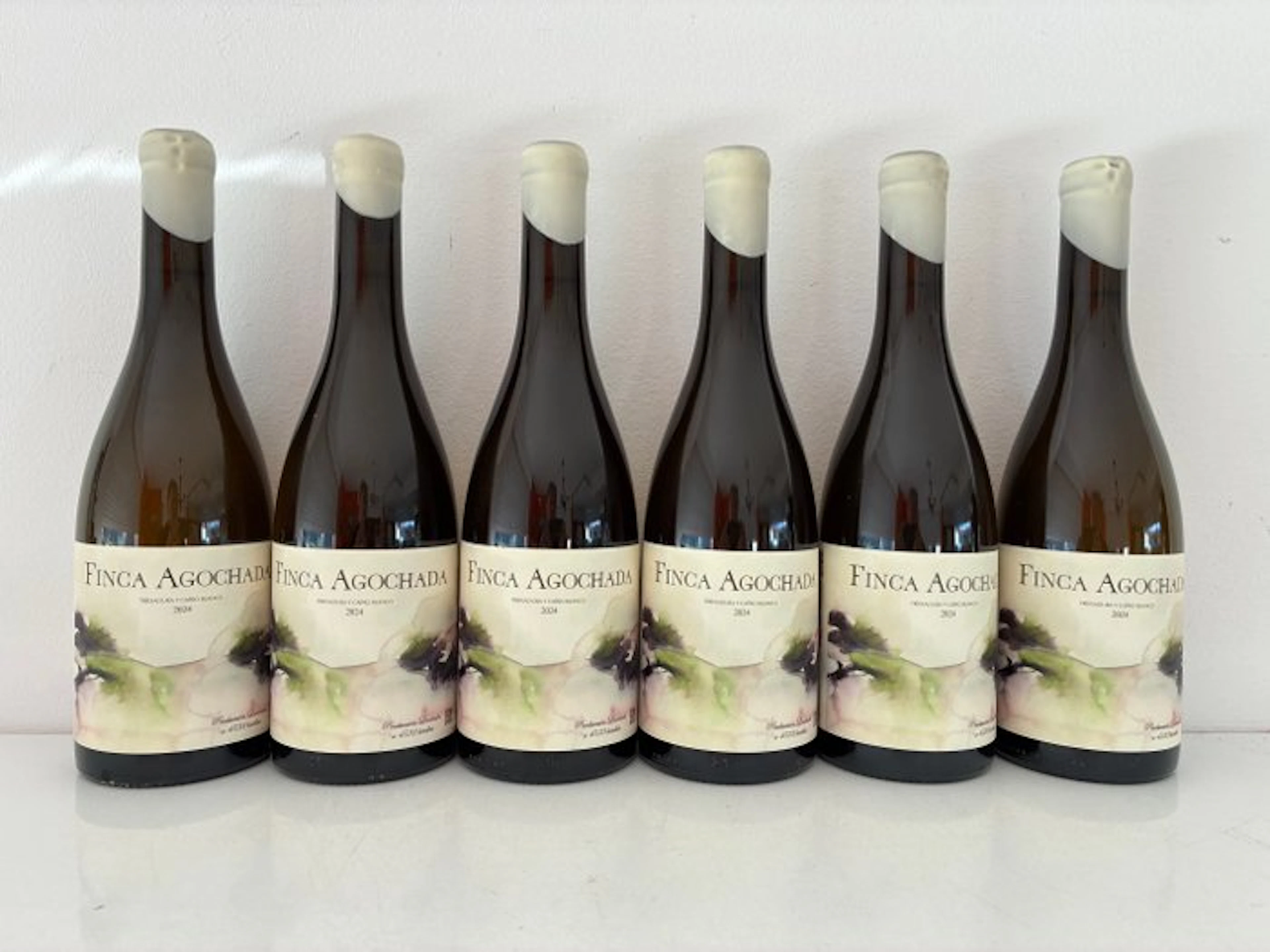 2024 Laudes 'Finca Agochada' Treixadura y Caino Blanco - Ribeiro D.O