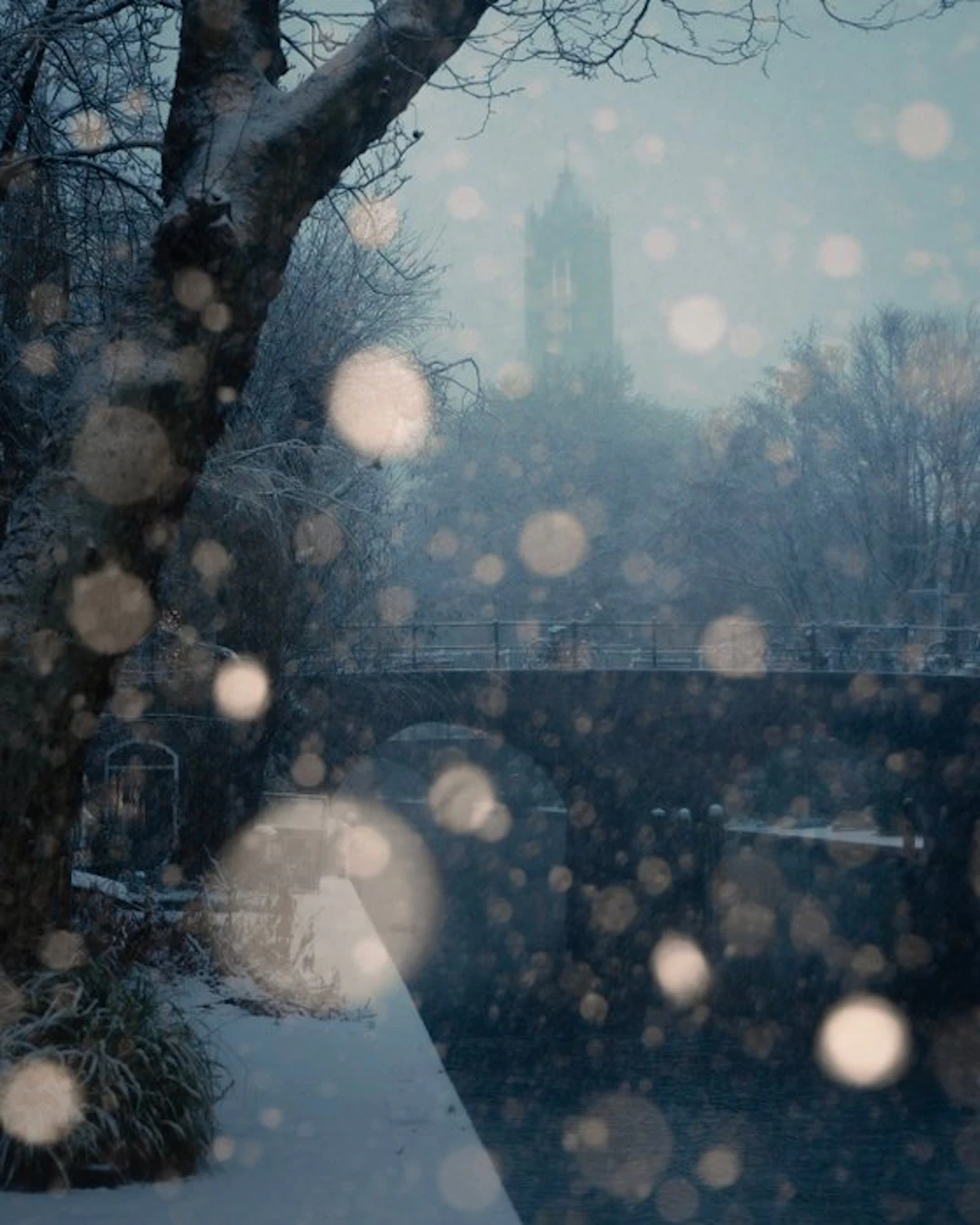 Gosse Bouma - SNOW ON OUDEGRACHT