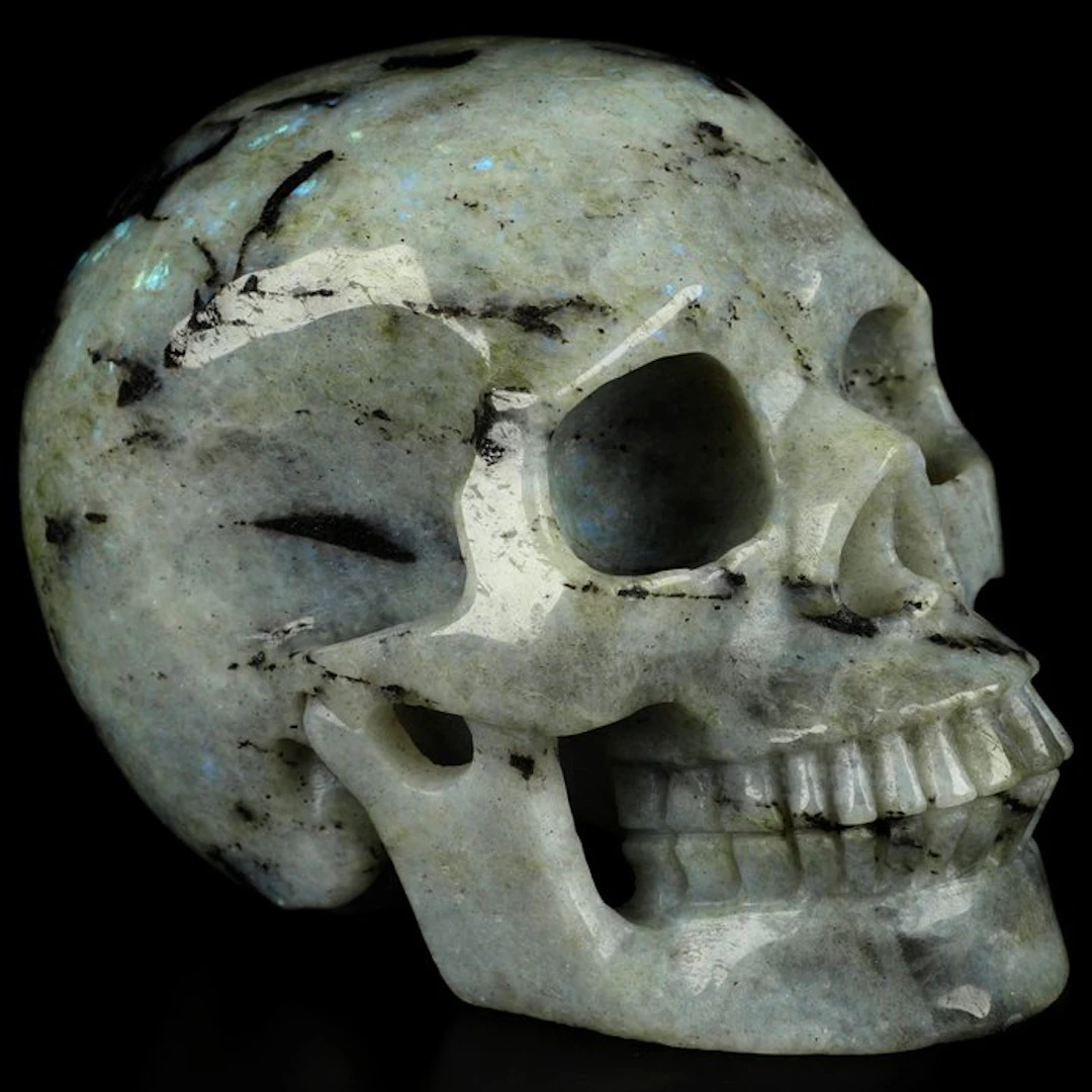 1.31 kg 12.70 x 9.70 cm archaic skull - Museum-grade...