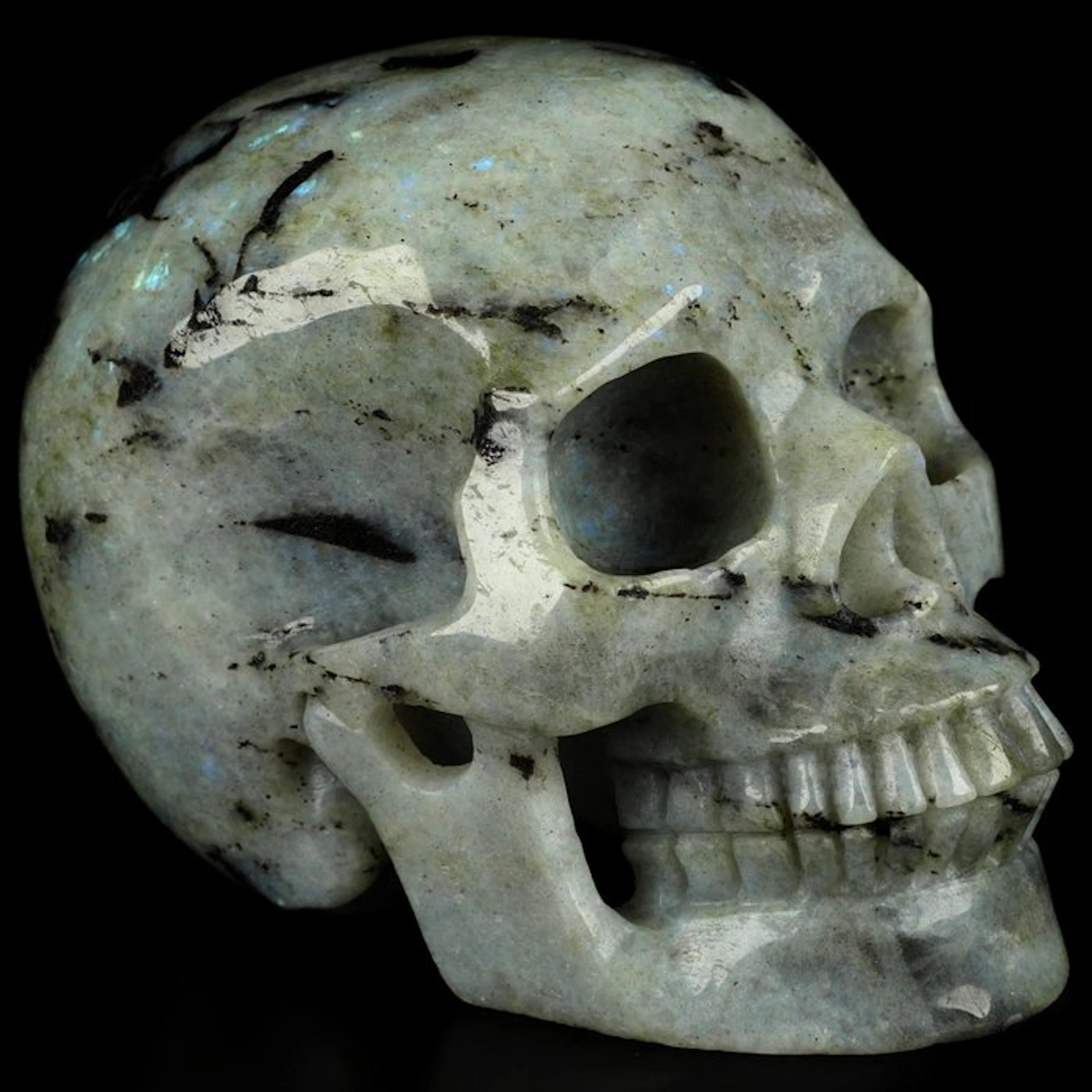 1.31 kg 12.70 x 9.70 cm archaic skull - Museum-grade...