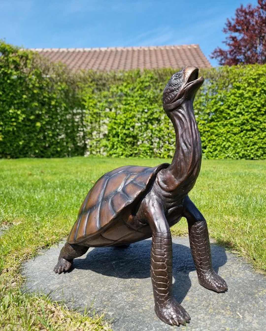 Figurine - Levensechte schildpad - Bronze
