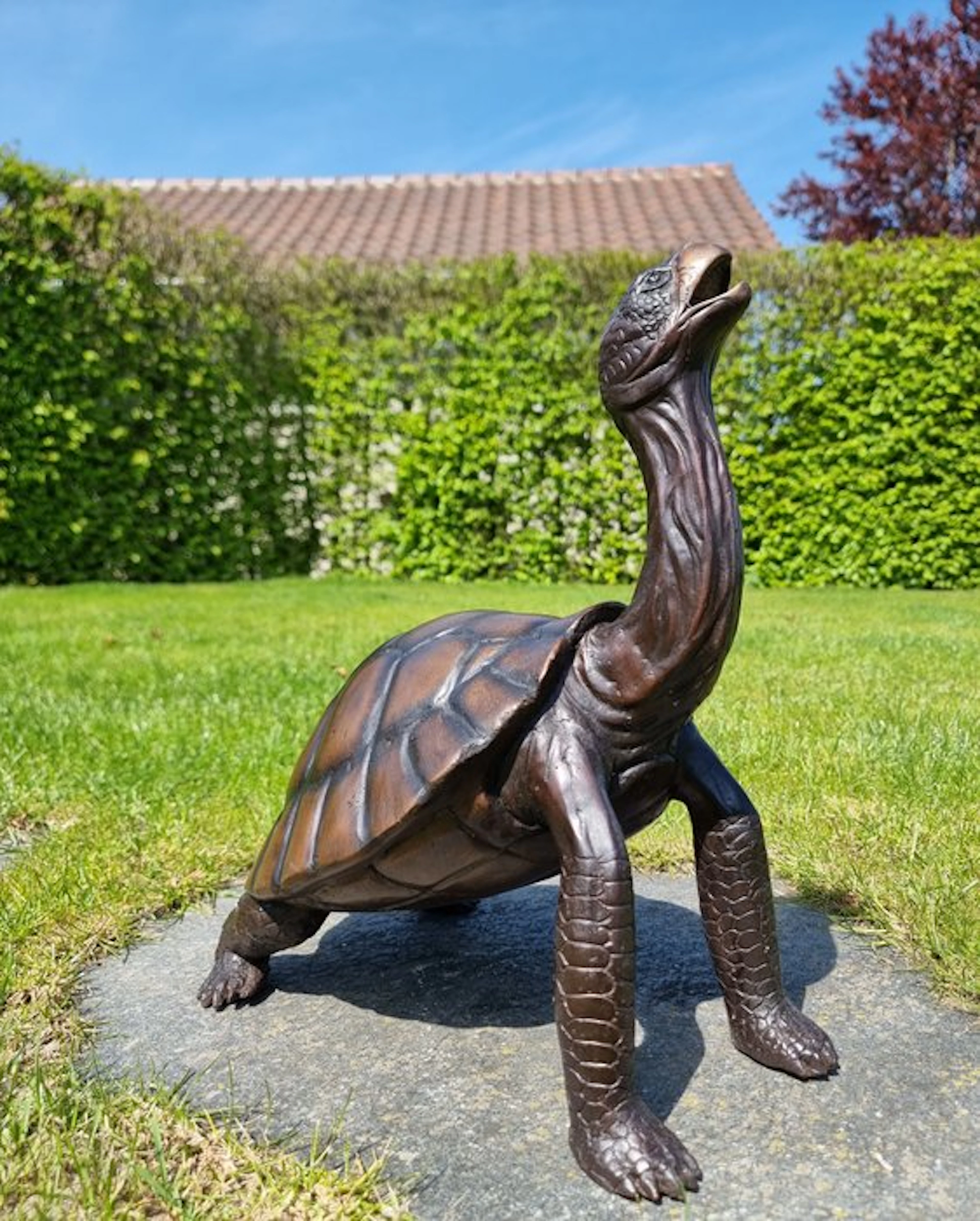 Figurine - Levensechte schildpad - Bronze