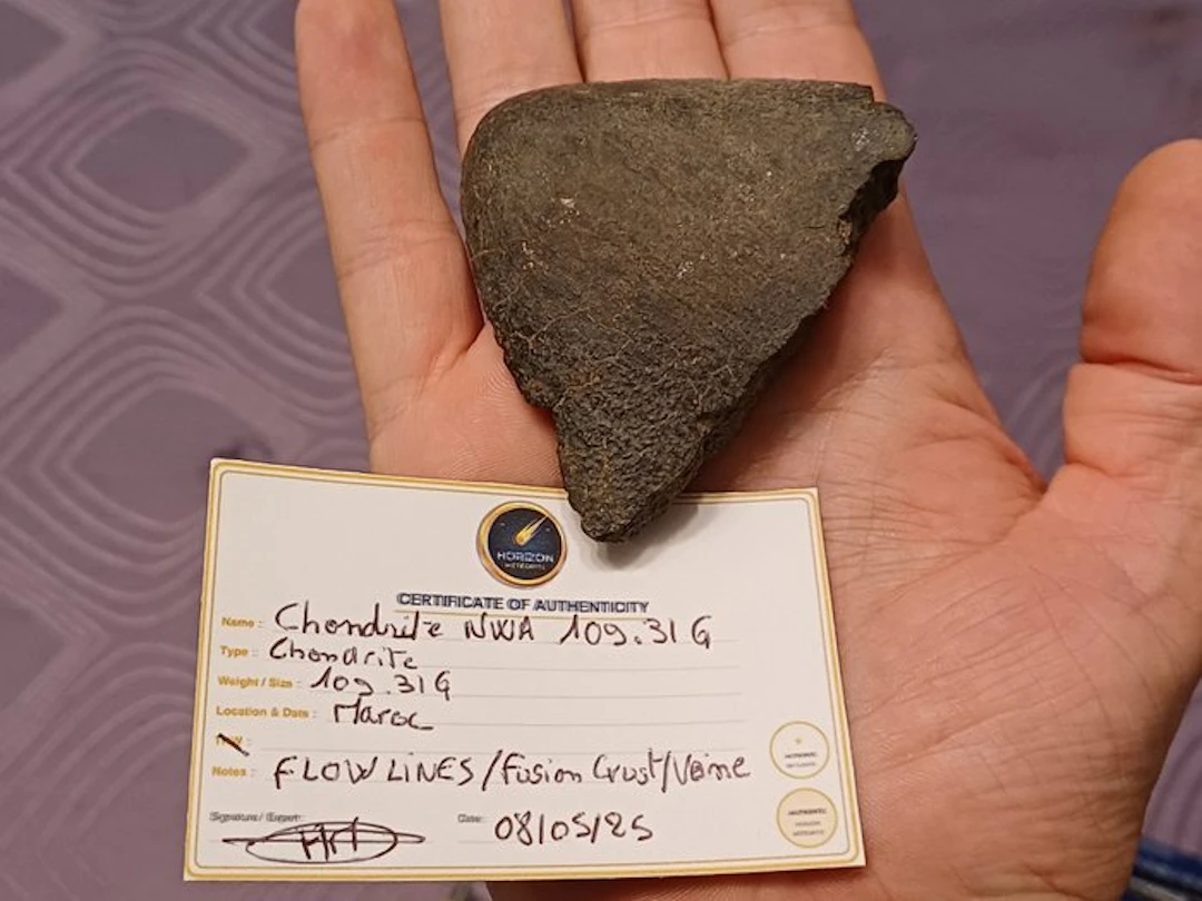 NO RESERVE!! Chondrite NWA 109.31G Flow lines Superior...