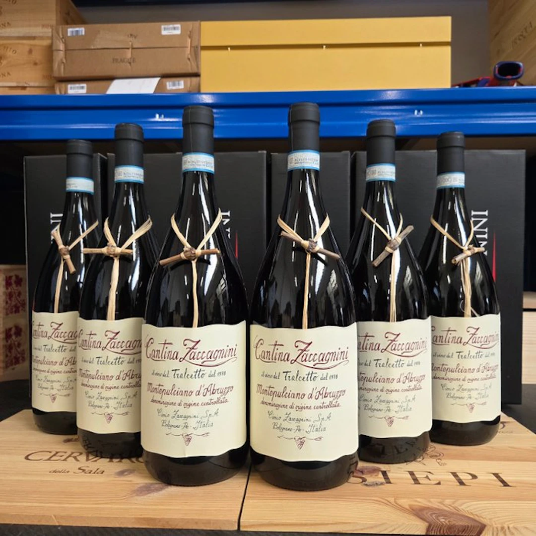 2023 Zaccagnini, Montepulciano d'Abruzzo - Abruzzo DOC - 6 Magnums (1.5L)