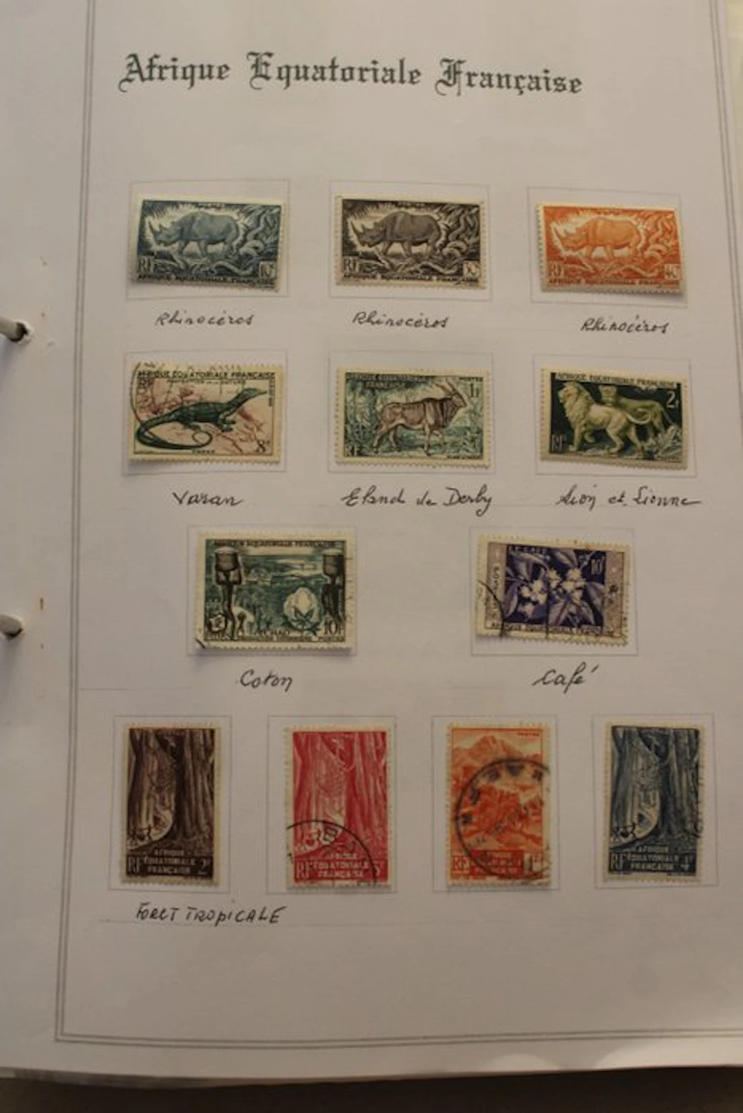 French Colonies - Fauna and Flora of the French Colonies