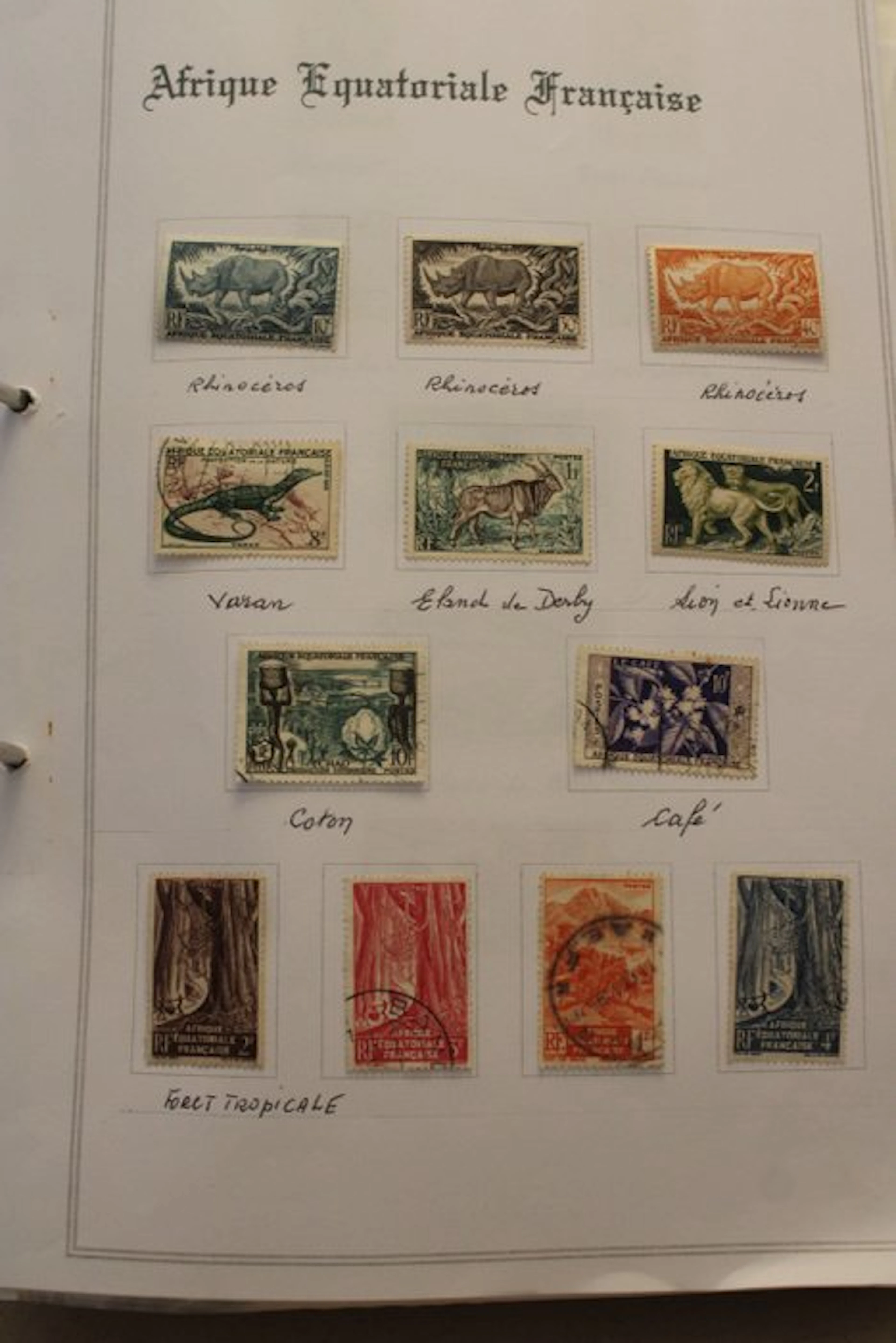 French Colonies - Fauna and Flora of the French Colonies