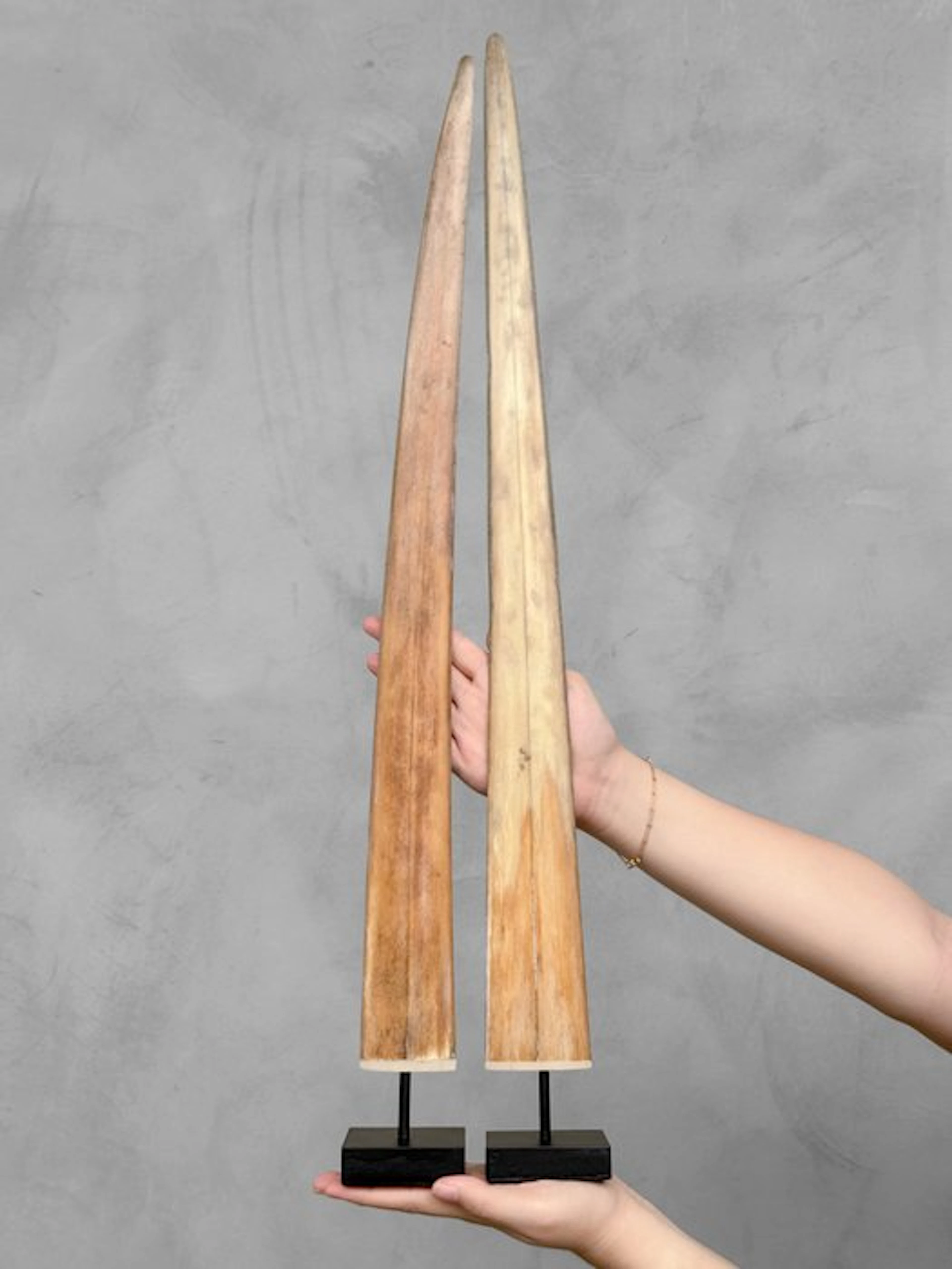 NO RESERVE PRICE - Stunning pair of Swordfish tusk...