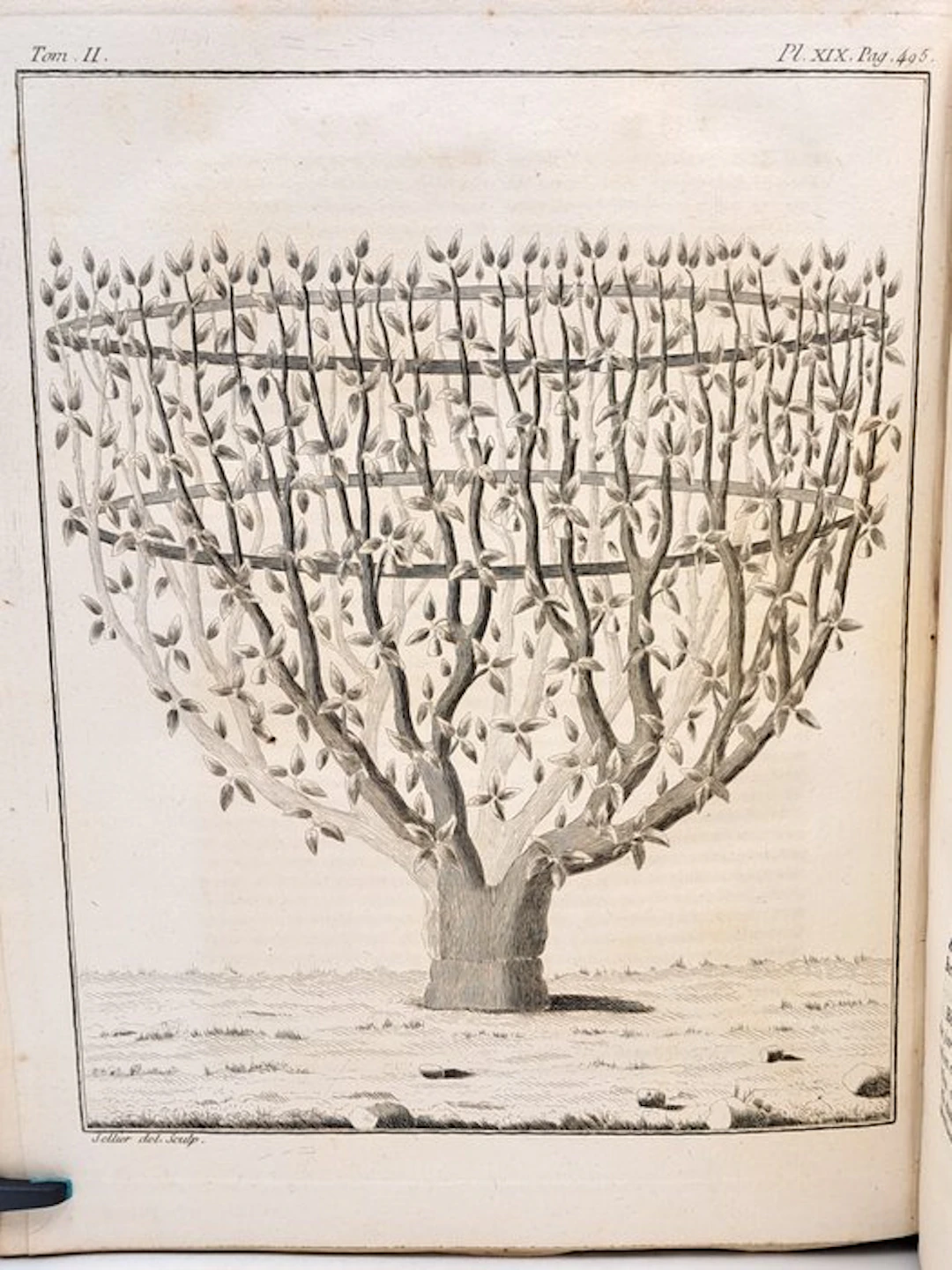 François Rozier - [Tome II] - Cours complet d'agriculture - 1785